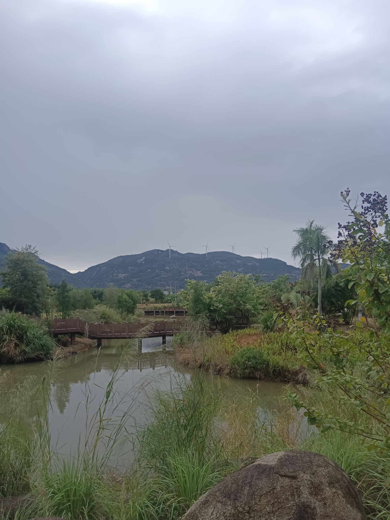 香山湿地公园旅行图片 2