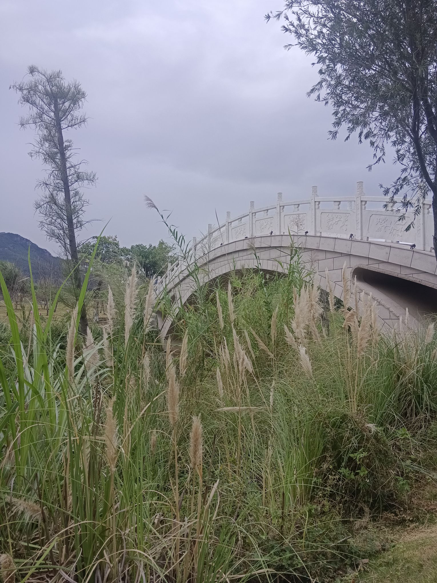 香山湿地公园旅行图片 3