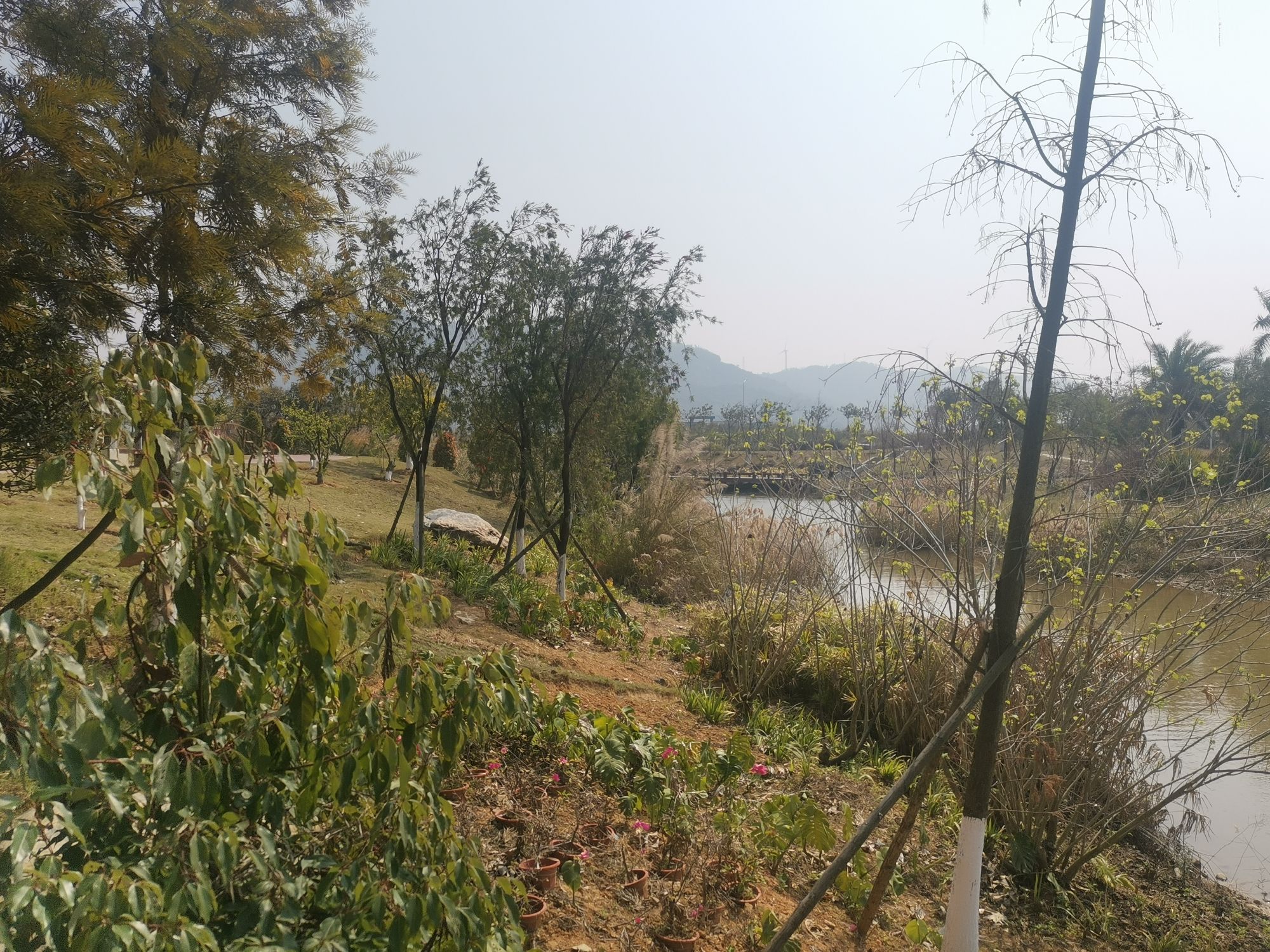 香山湿地公园旅行图片 2