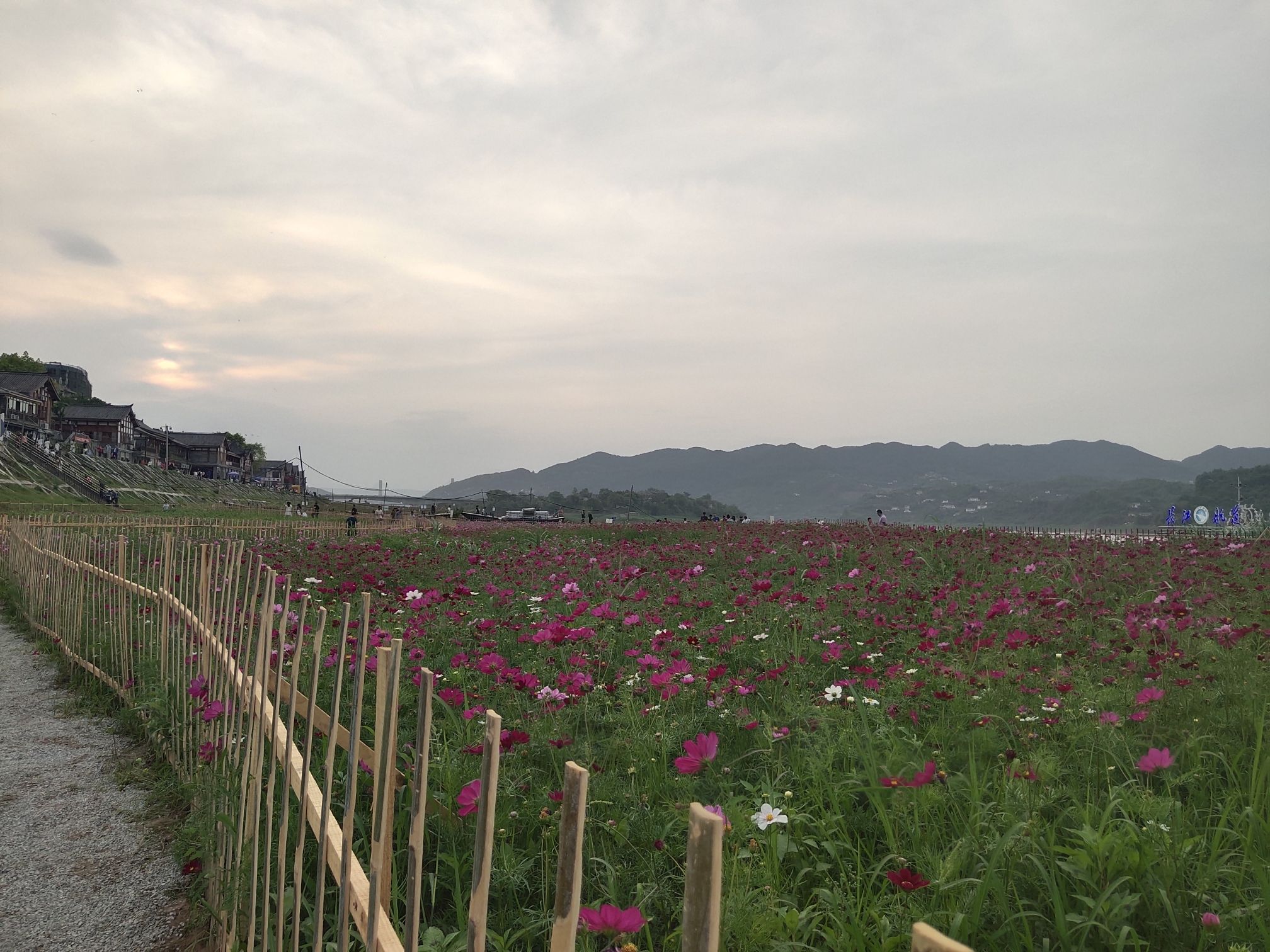 木洞河街旅行图片 2