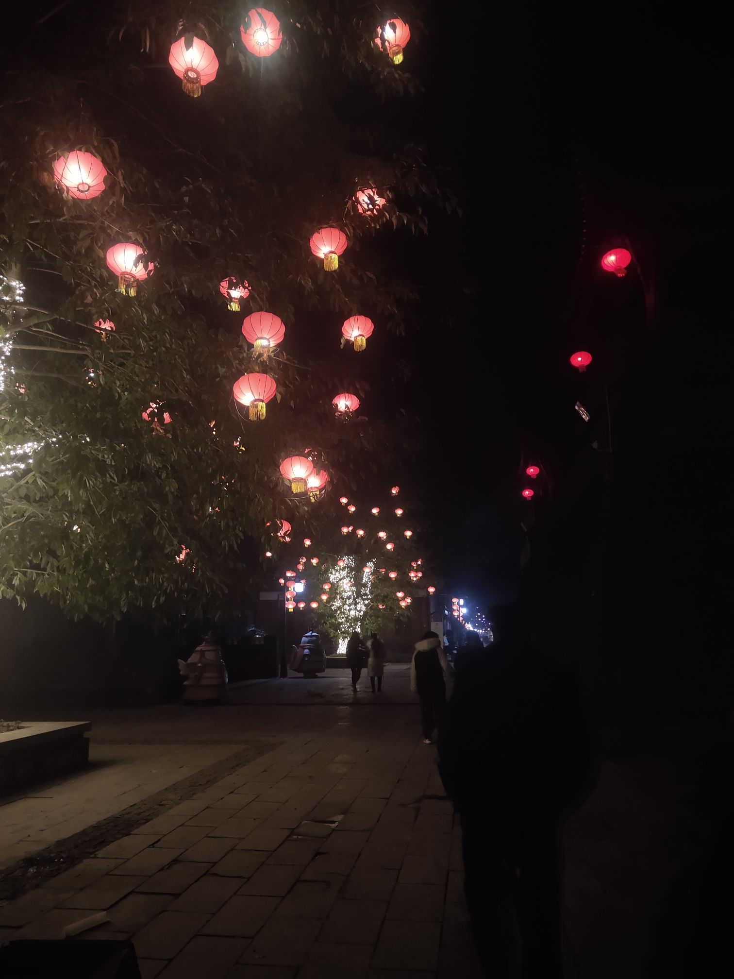 木洞河街旅行图片 3