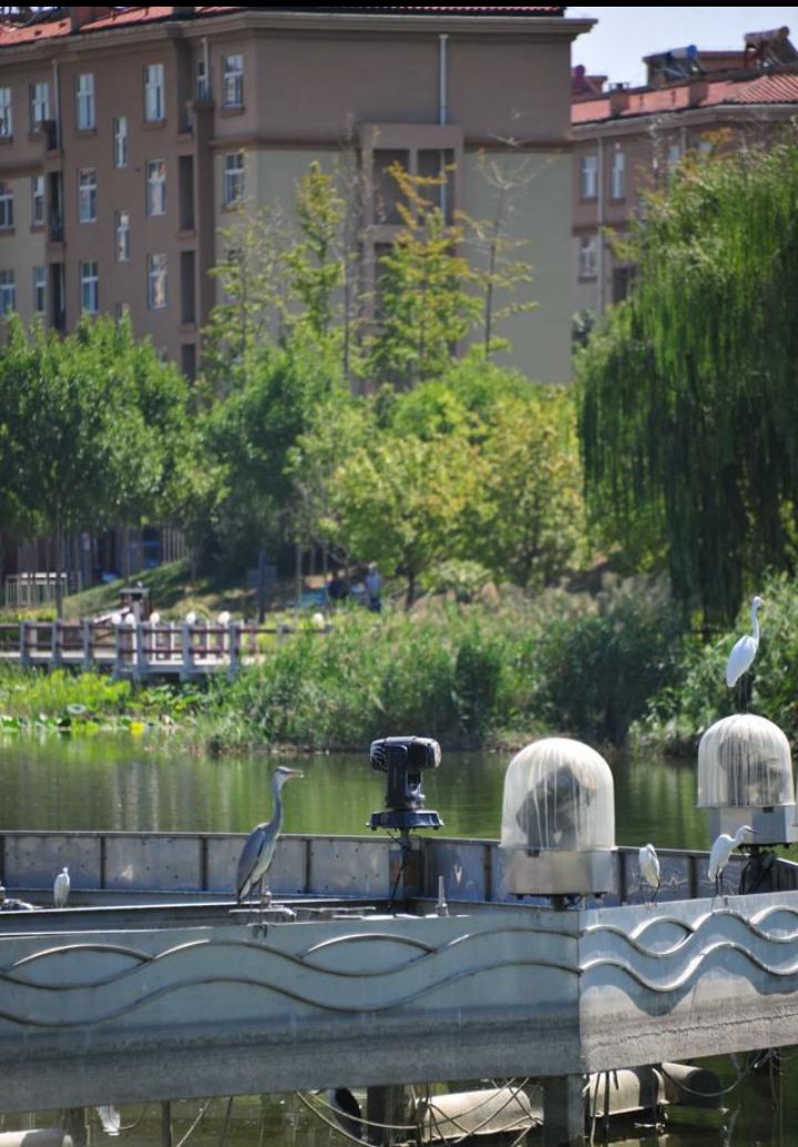 玉龙湖湿地公园旅行图片 1