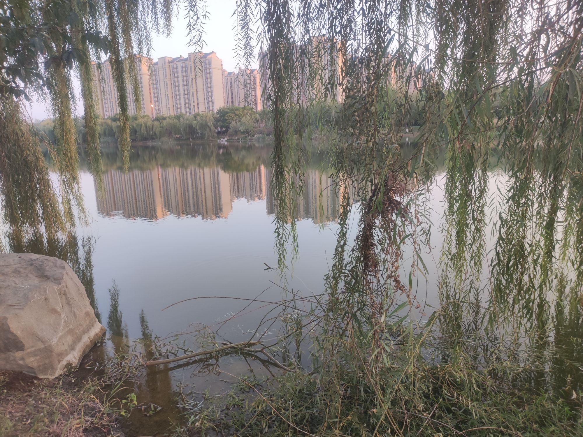 玉龙湖湿地公园旅行图片 1