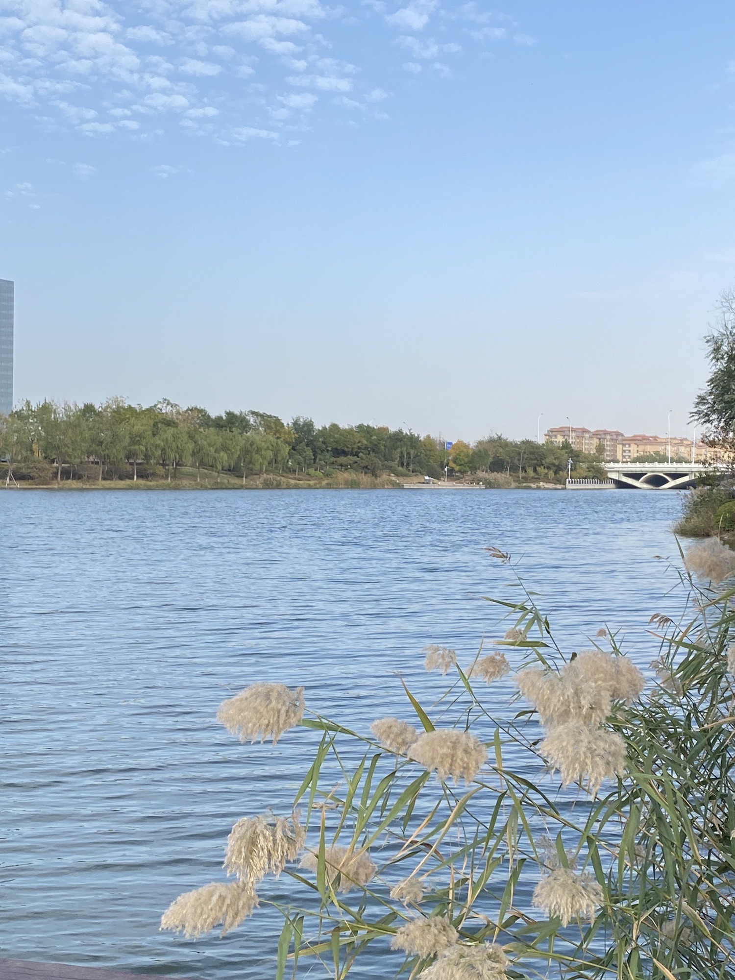 玉龙湖湿地公园旅行图片 1