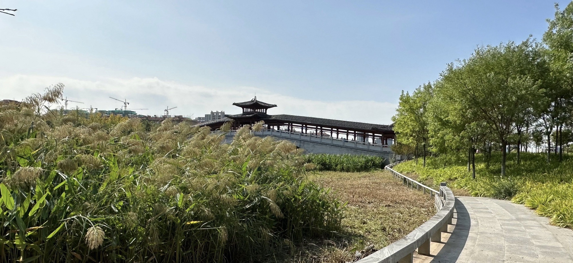 玉龙湖湿地公园旅行图片 3