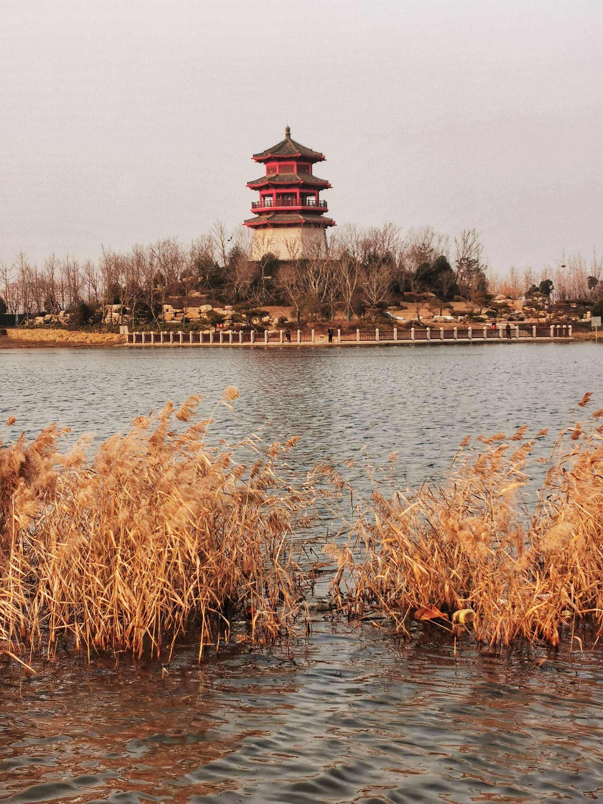 玉龙湖湿地公园旅行图片 1