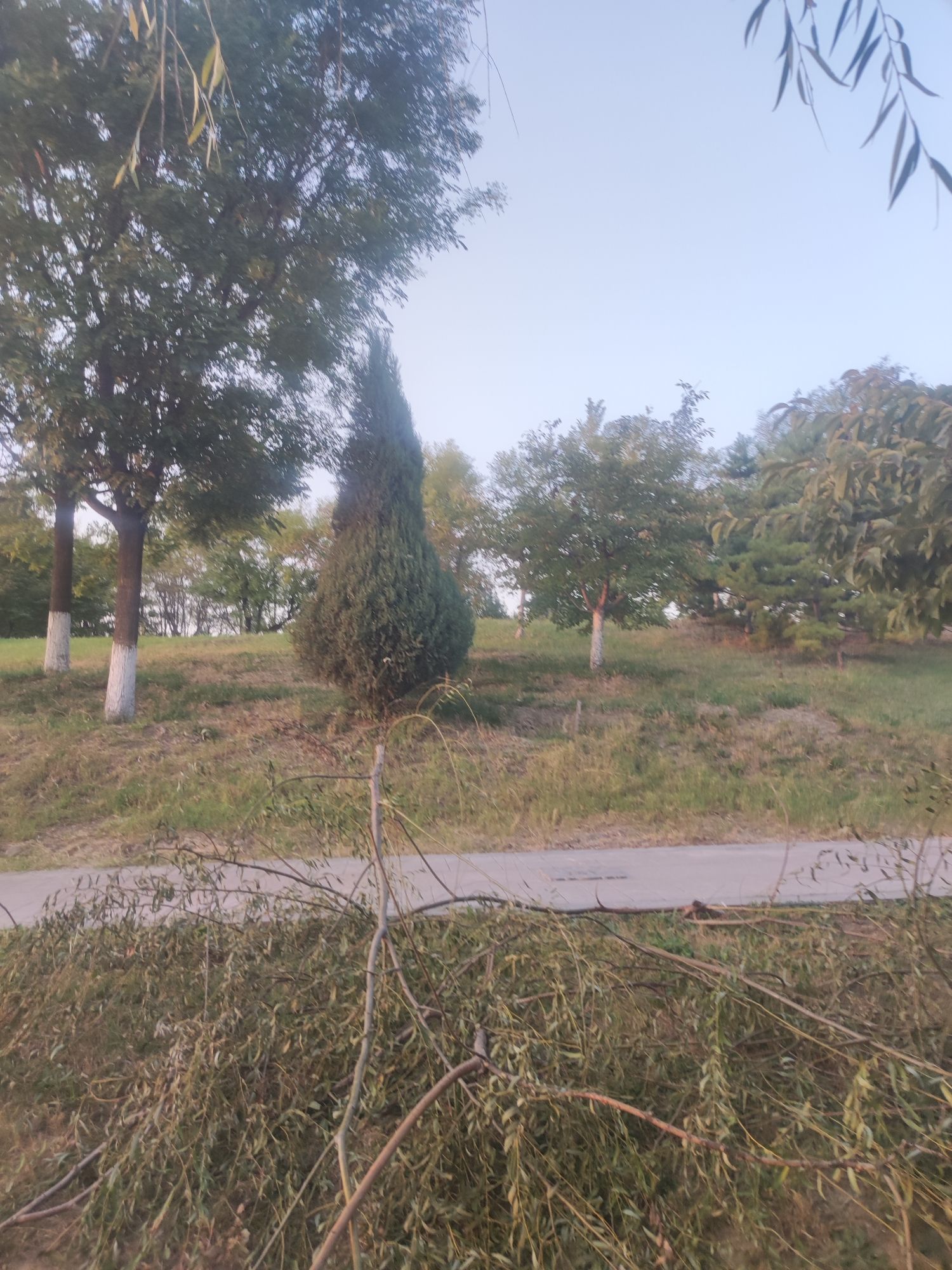 玉龙湖湿地公园旅行图片 3