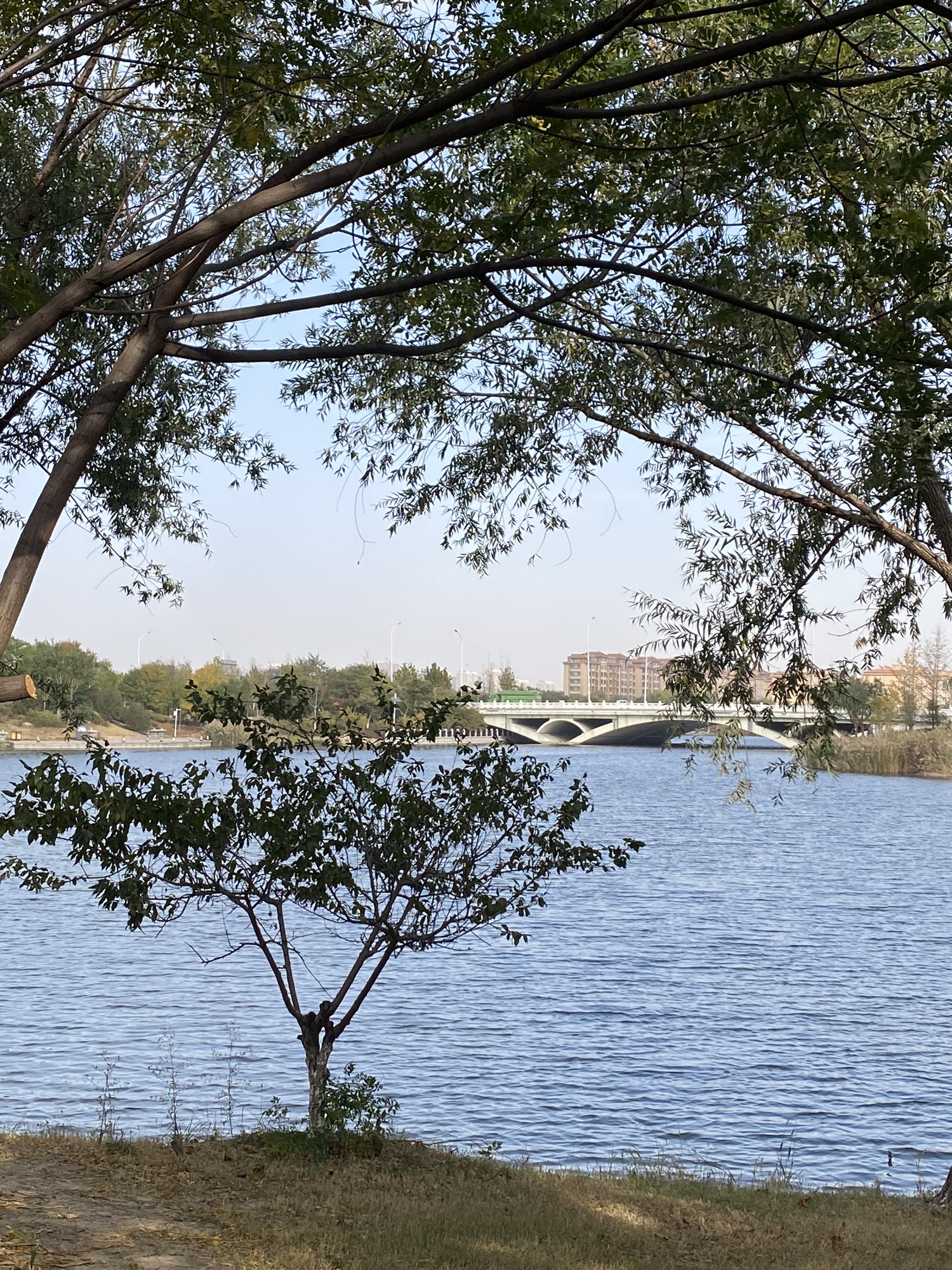 玉龙湖湿地公园旅行图片 2