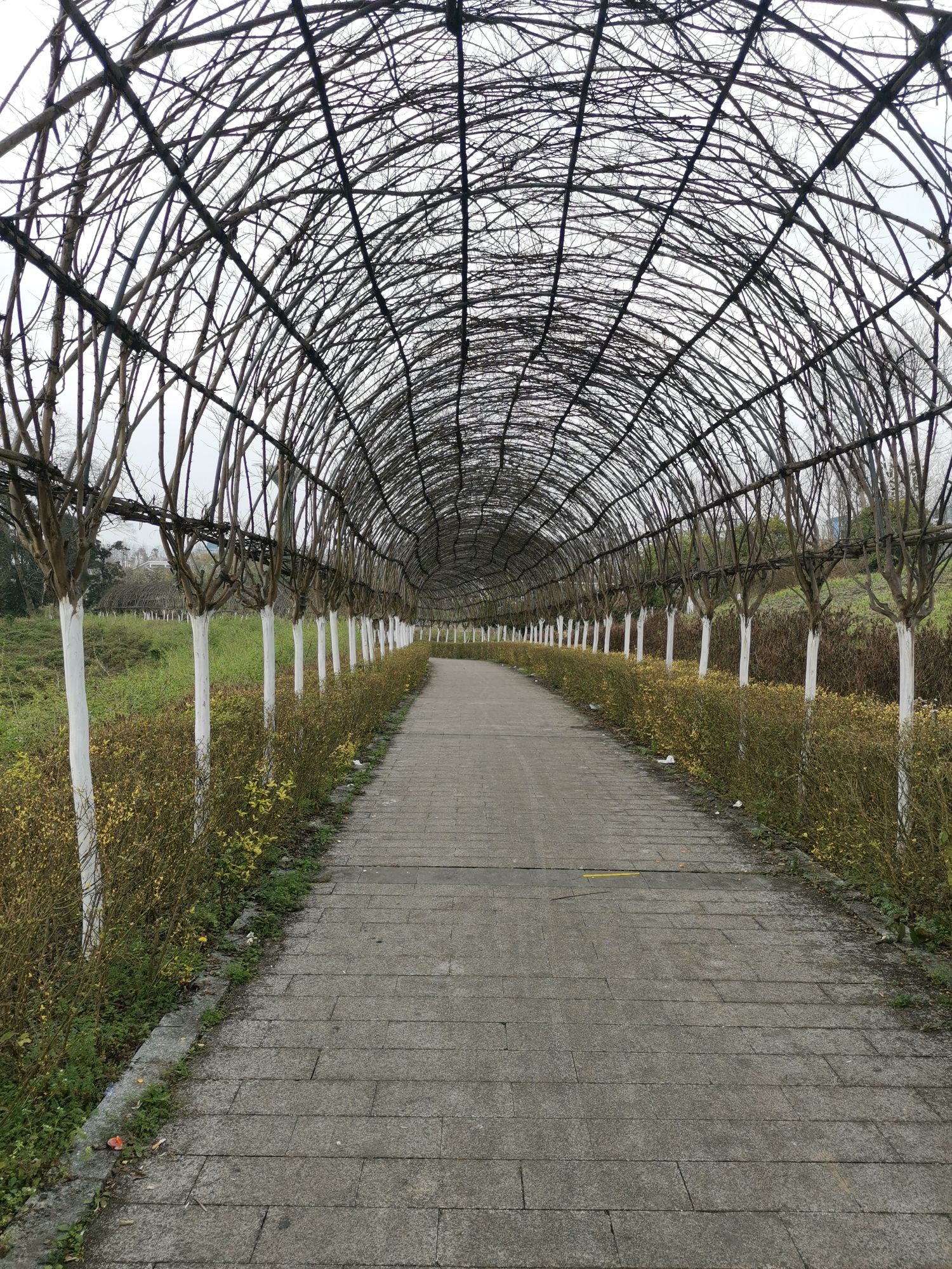 百草园景区旅行图片 1