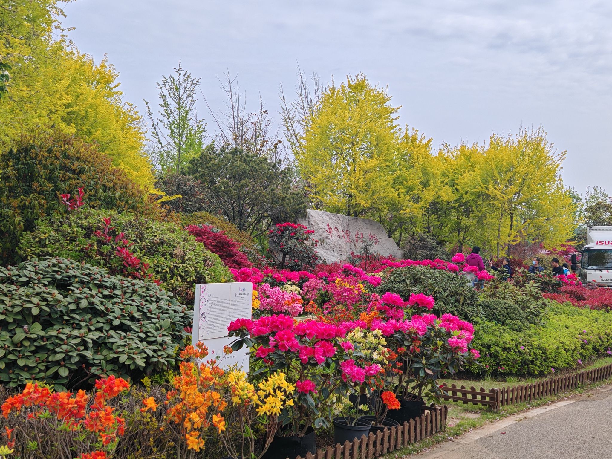 中国杜鹃花博览园旅行图片 3