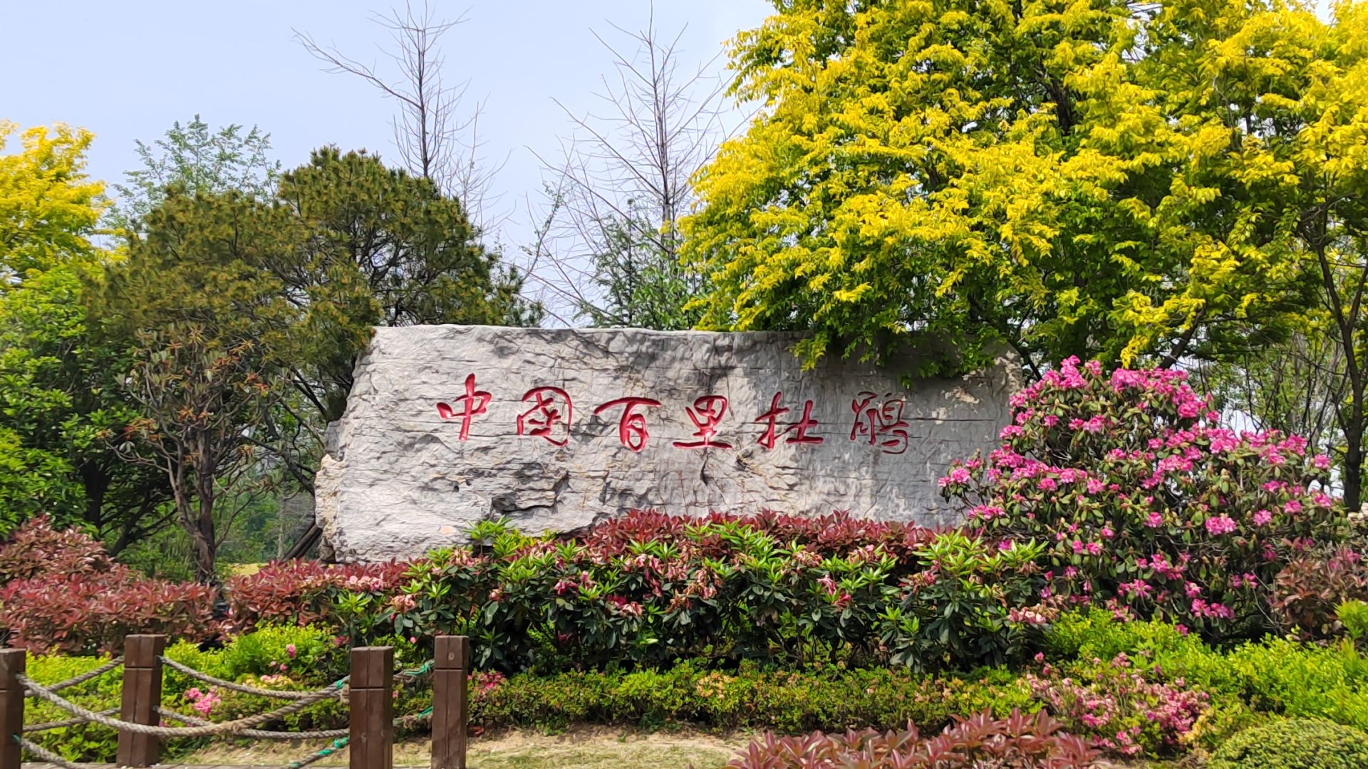 中国杜鹃花博览园旅行图片 1