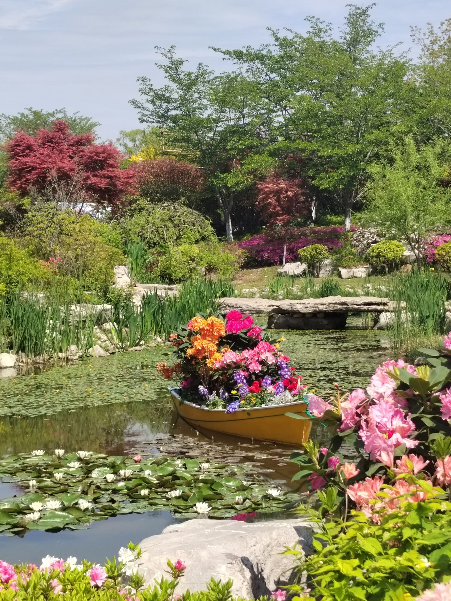 中国杜鹃花博览园旅行图片 3