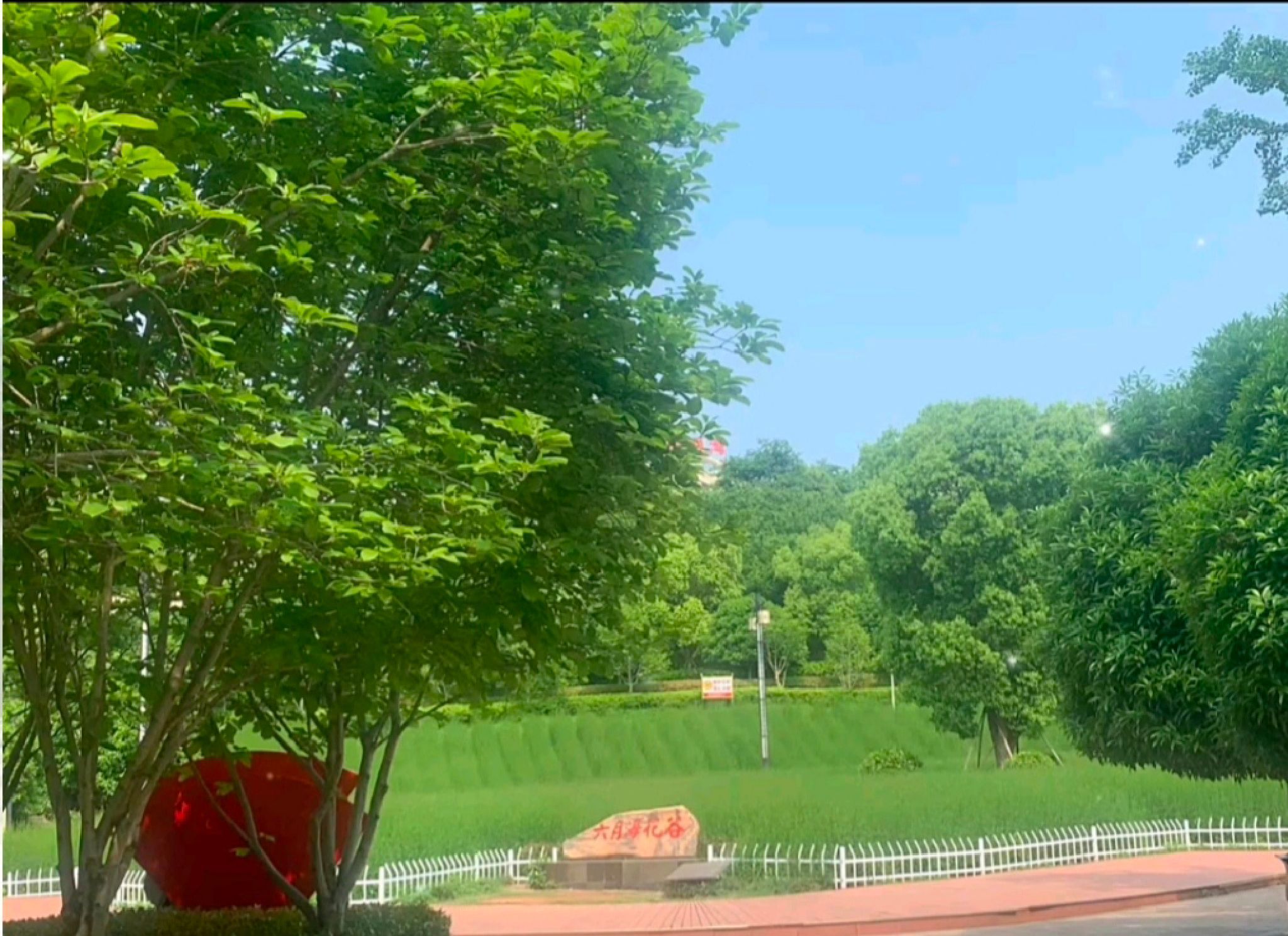 麻阳·长河公园旅行图片 1