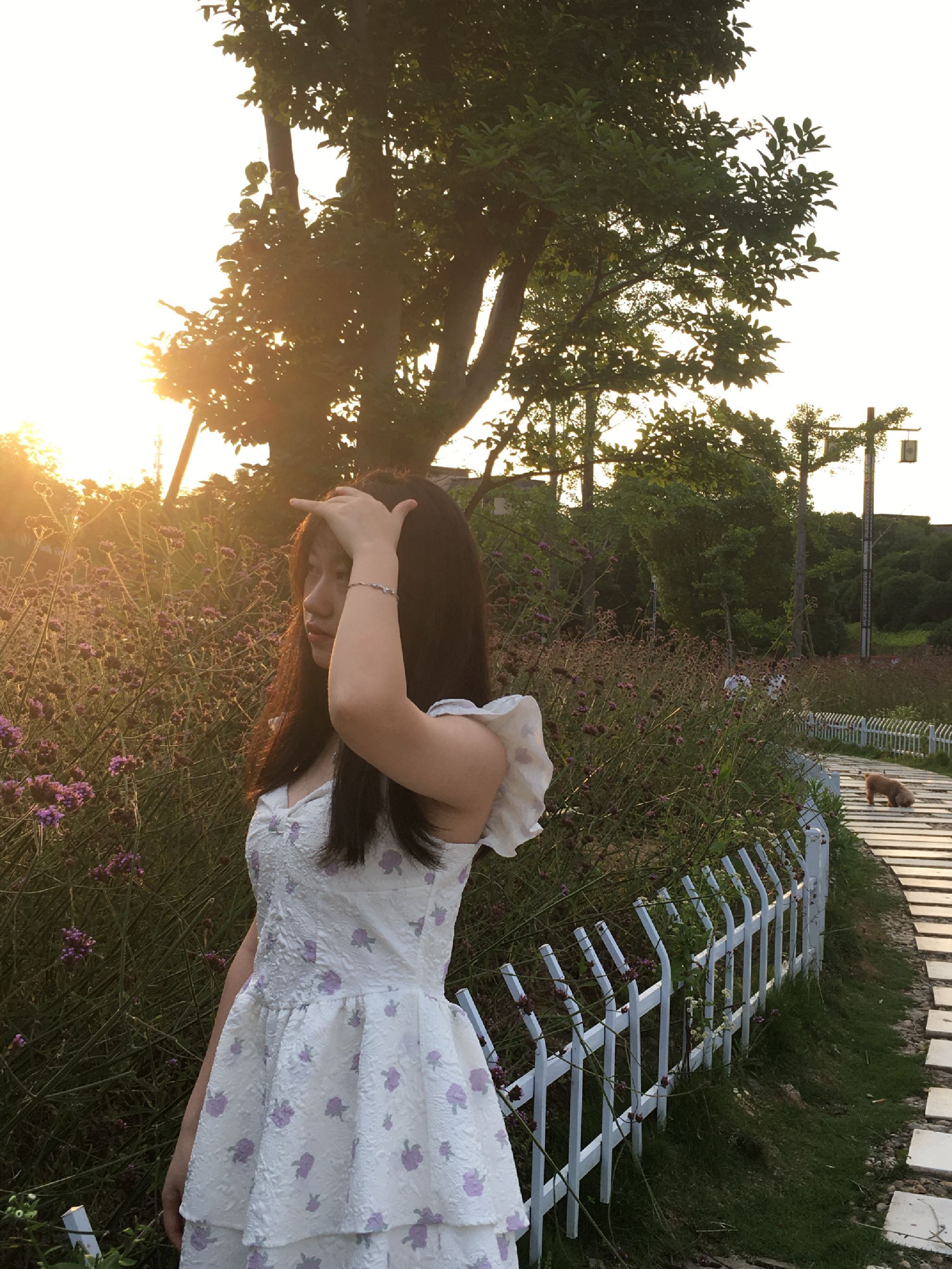 麻阳·长河公园旅行图片 3
