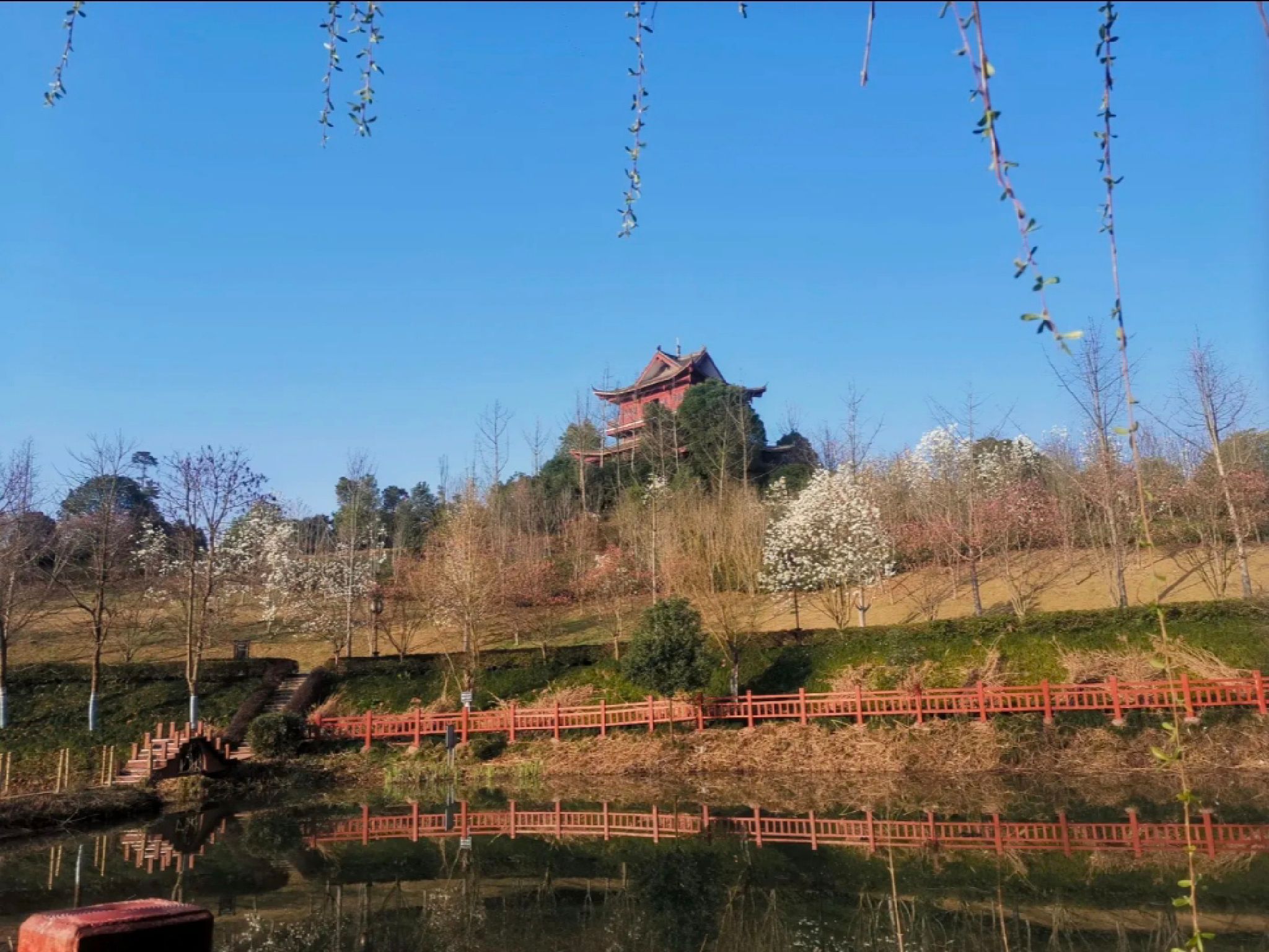 麻阳·长河公园旅行图片 3