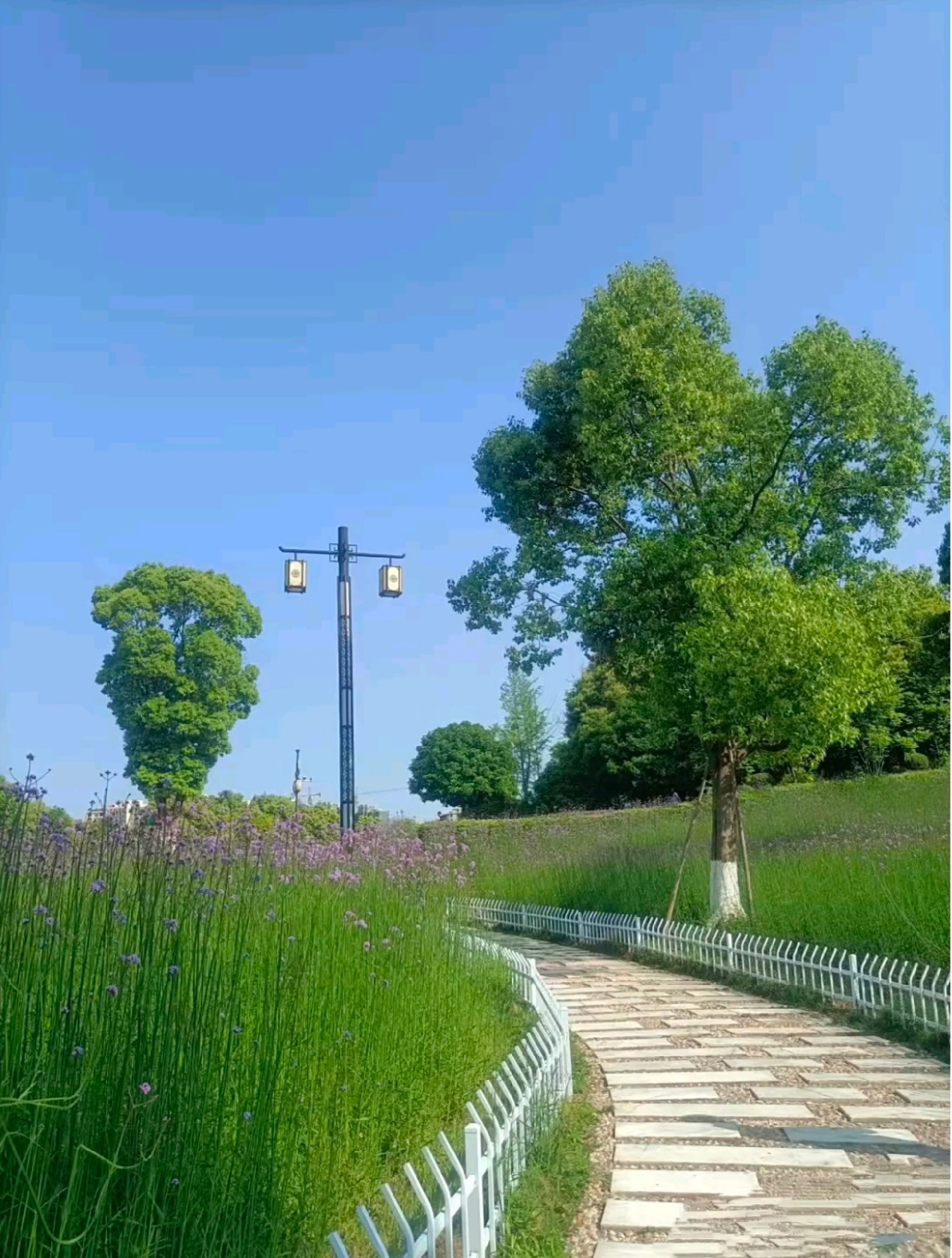 麻阳·长河公园旅行图片 2
