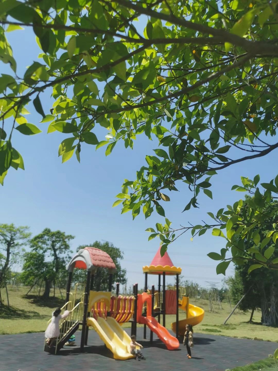 新凤绿地公园旅行图片 2