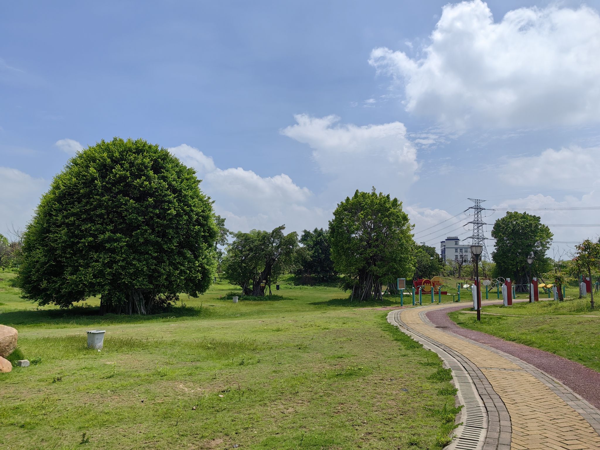 新凤绿地公园旅行图片 1