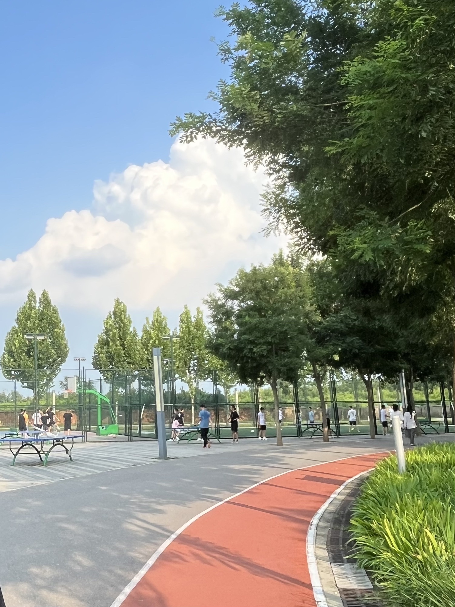 复兴公园旅行图片 2