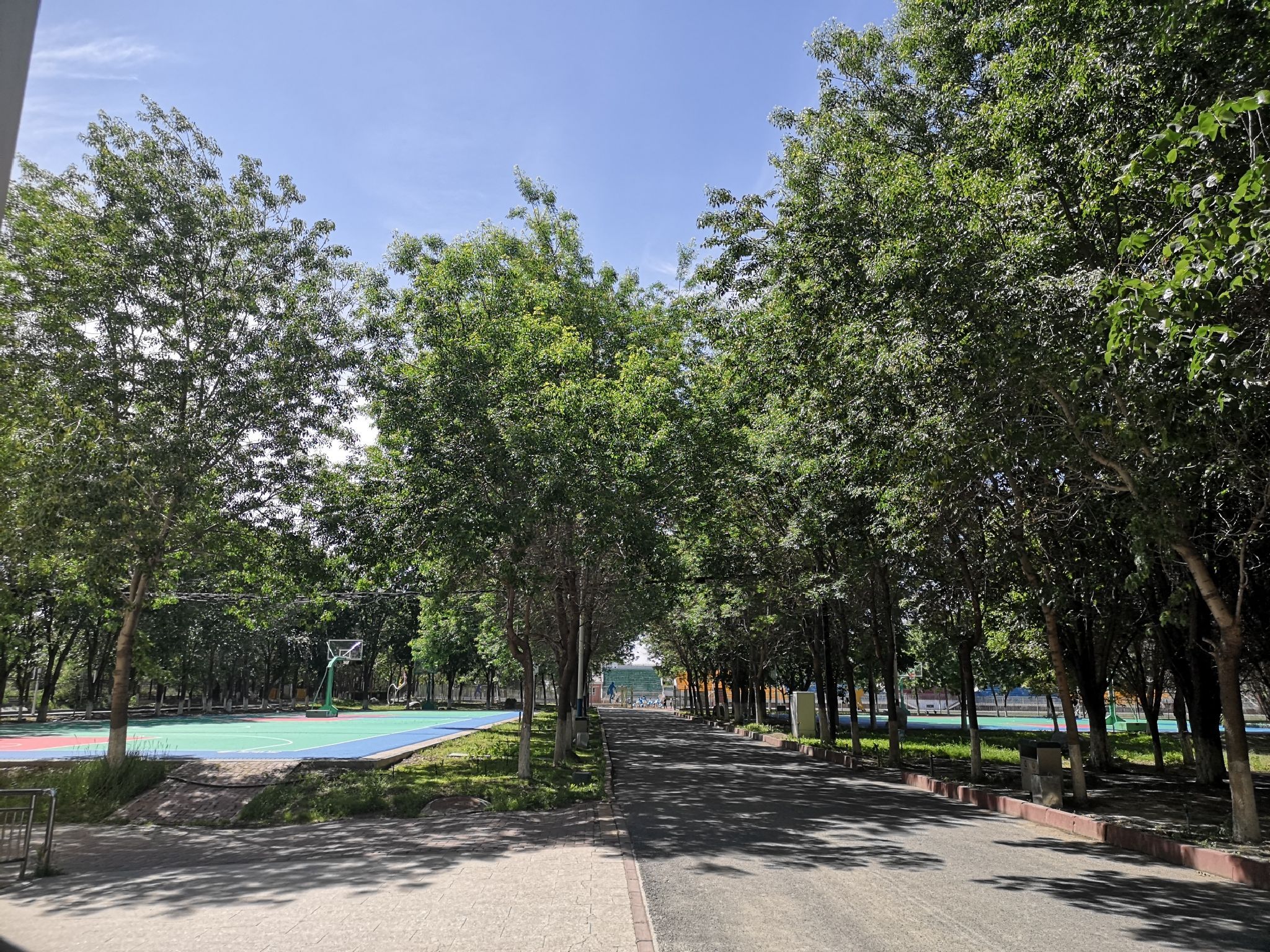 乌鲁木齐职业技术学院(安宁渠校区)