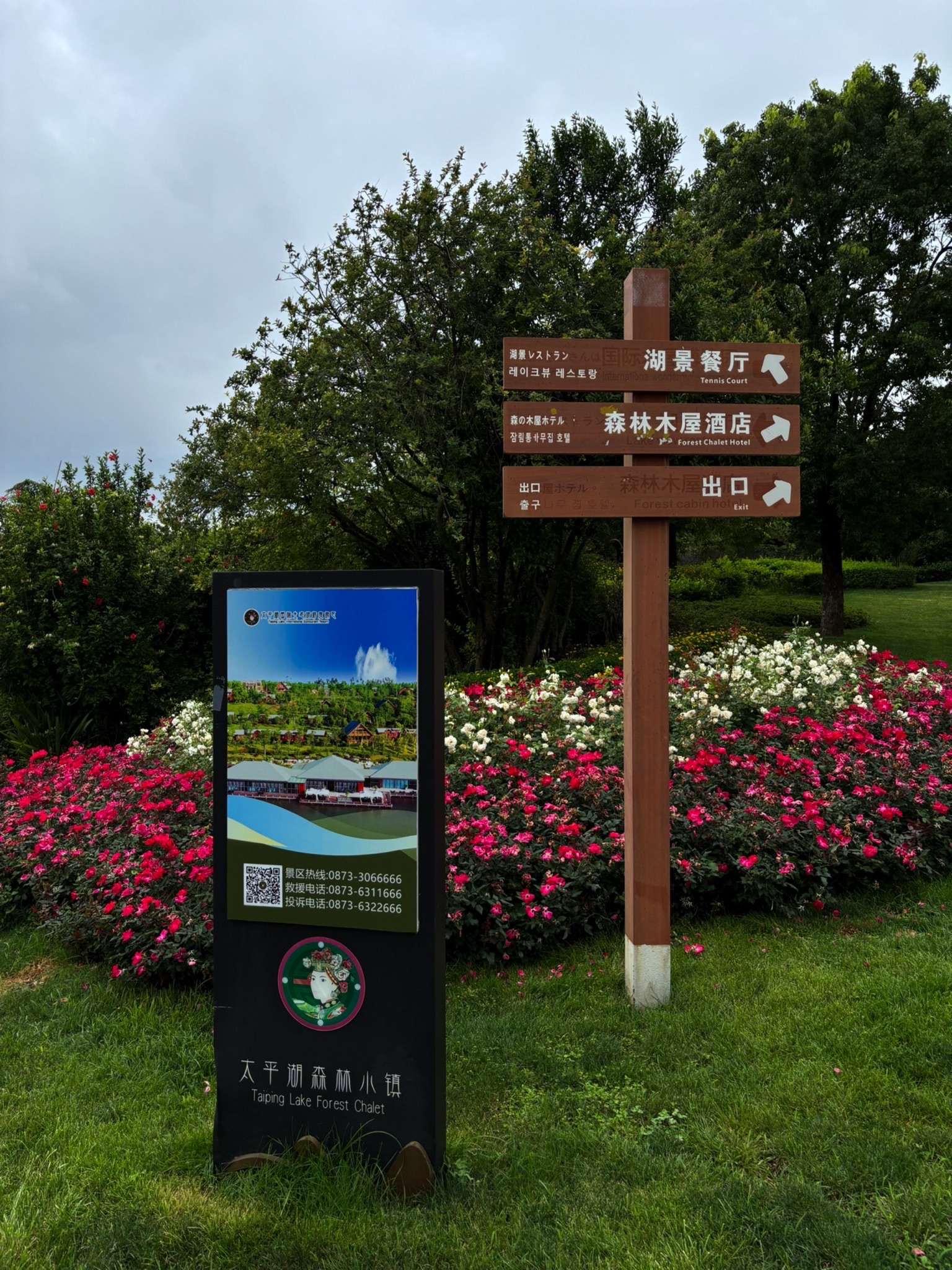 太平湖森林公园湖景餐厅