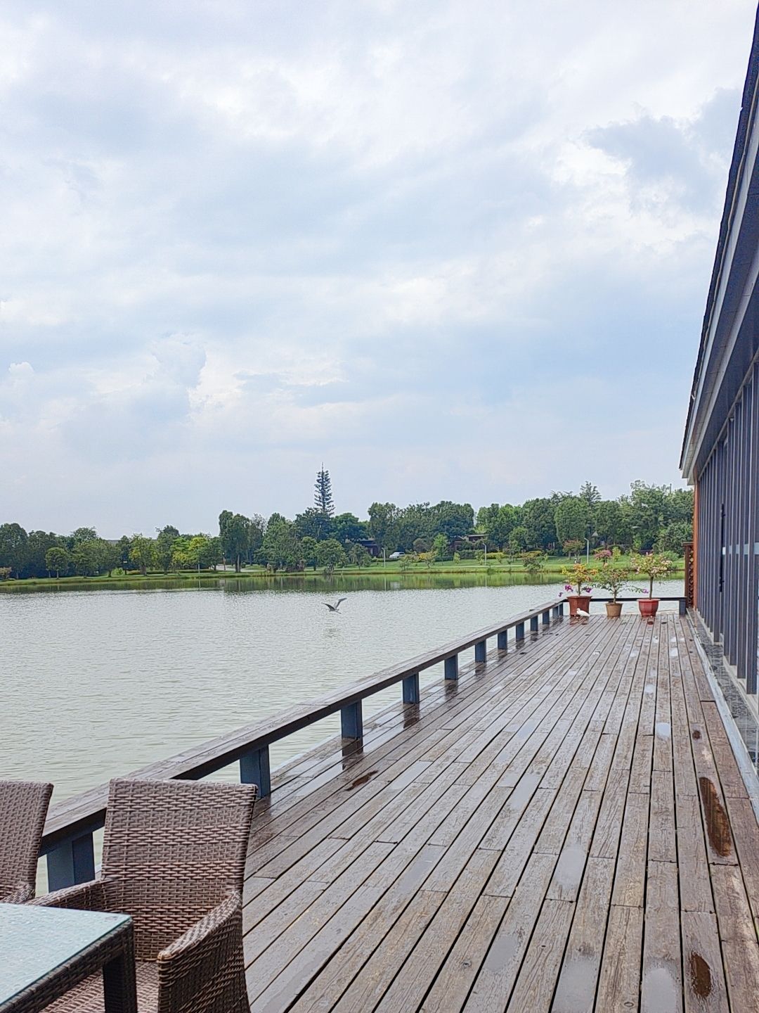 太平湖森林公园湖景餐厅