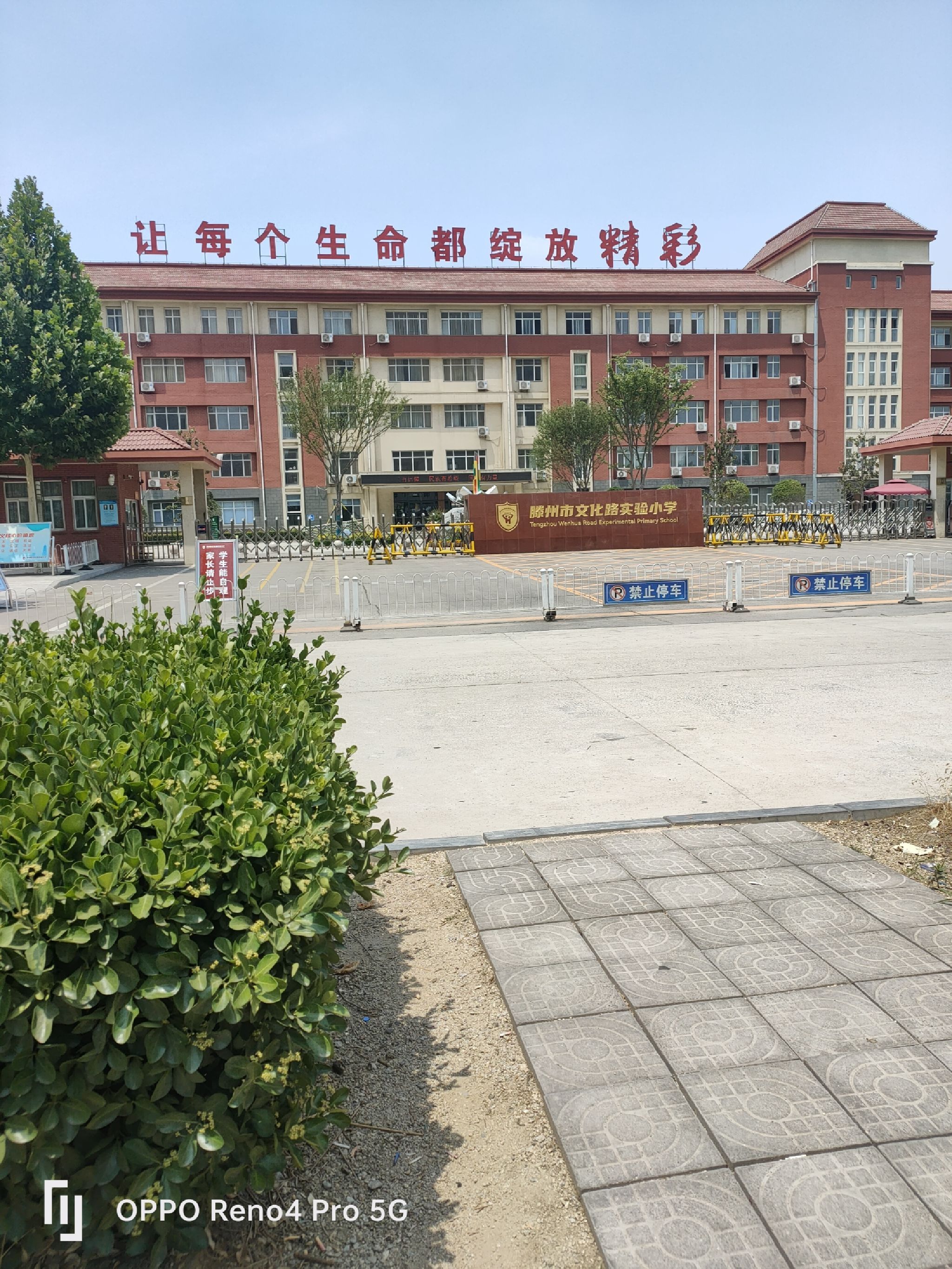 滕州市实验小学(文化路校区)