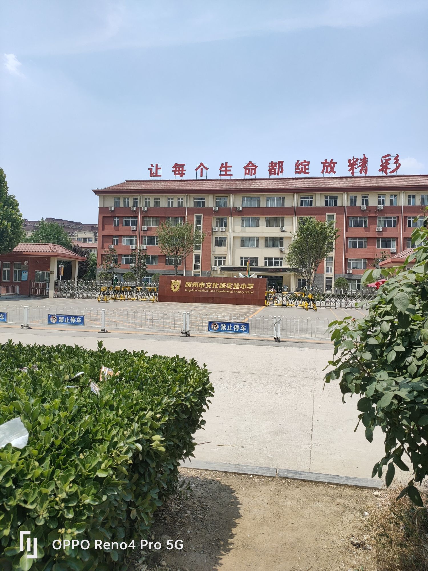 滕州市实验小学(文化路校区)
