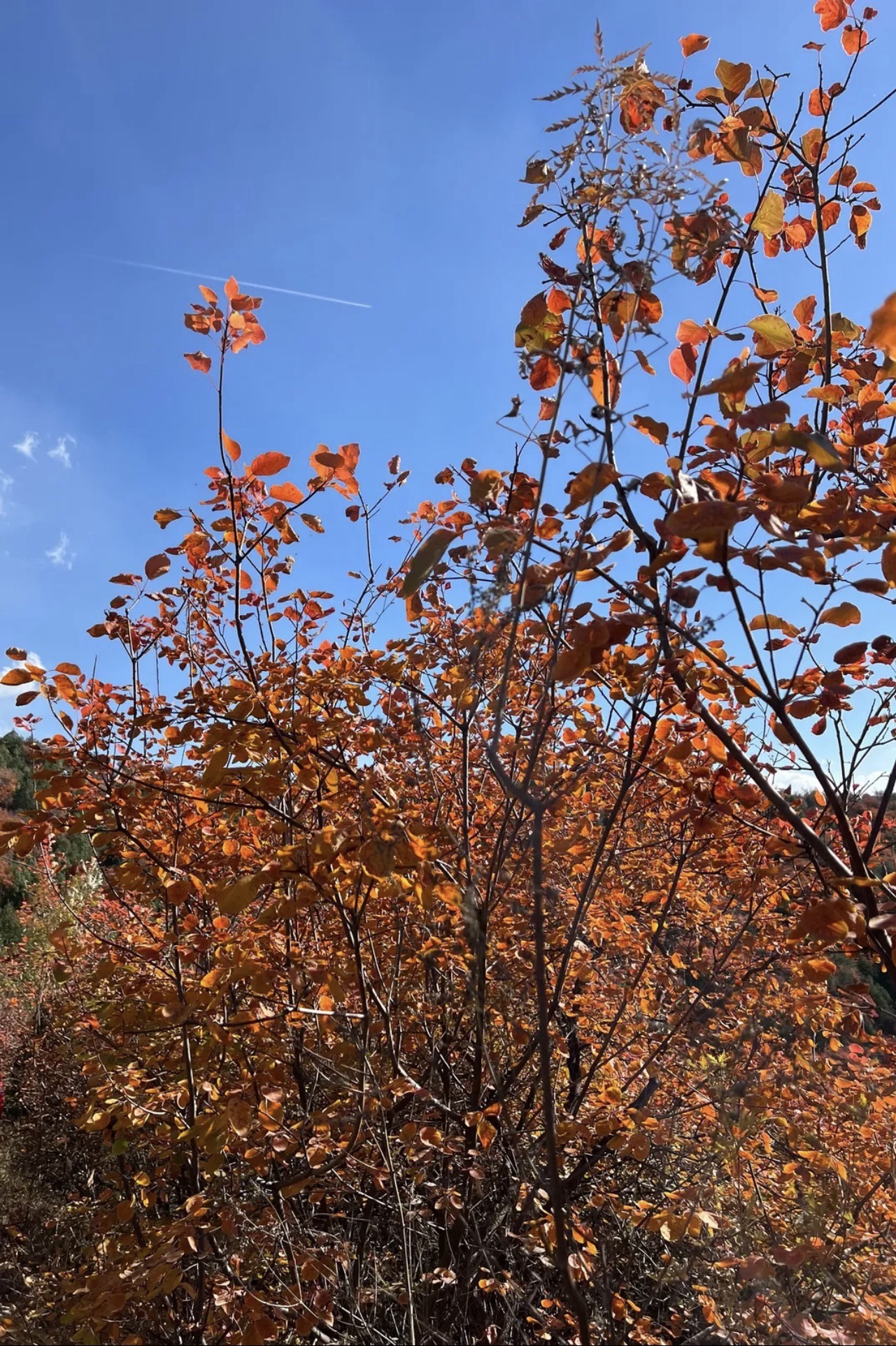 上毛仪涧白龙潭旅行图片 2