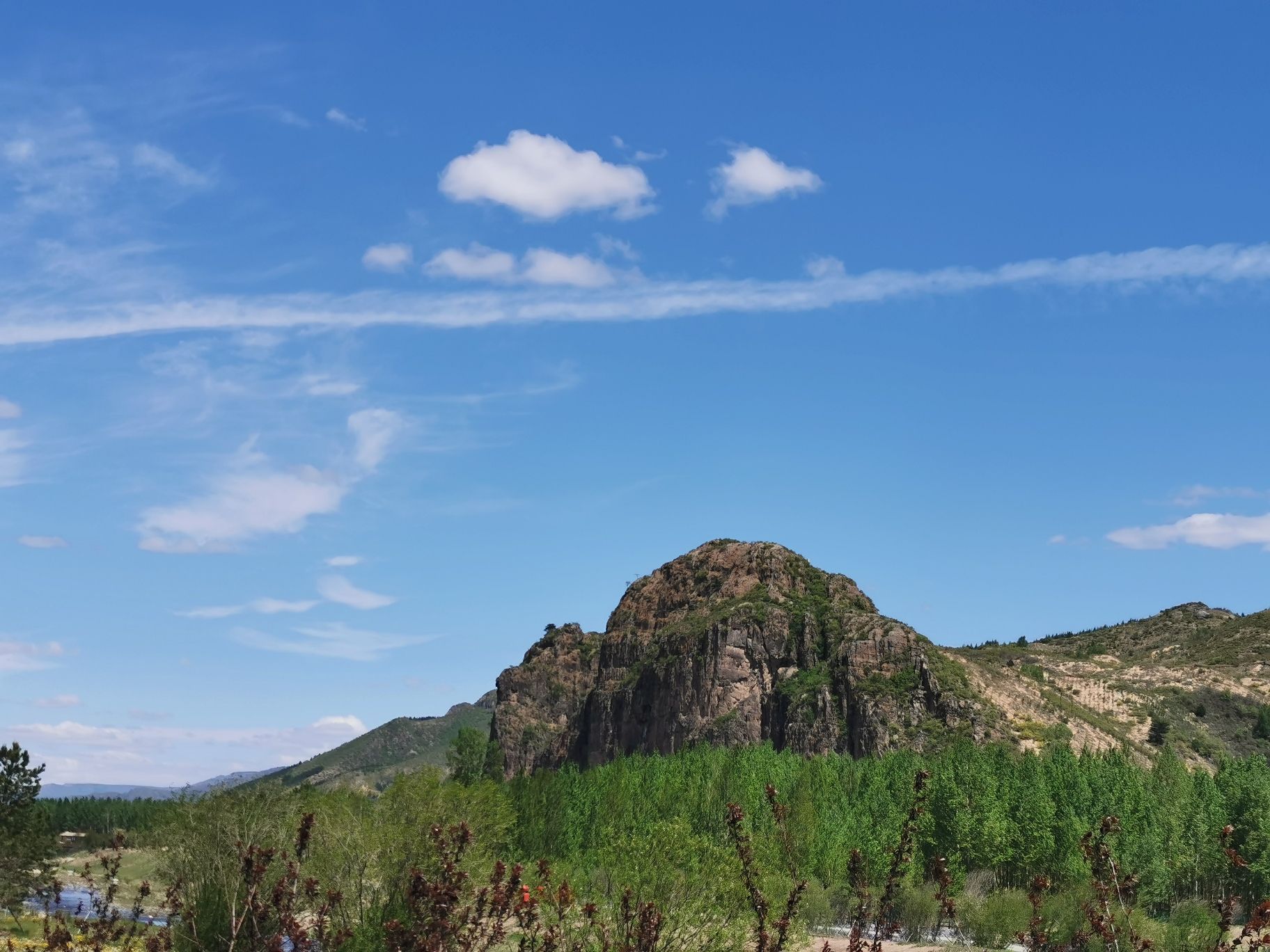 钓鱼台湿地公园旅行图片 1