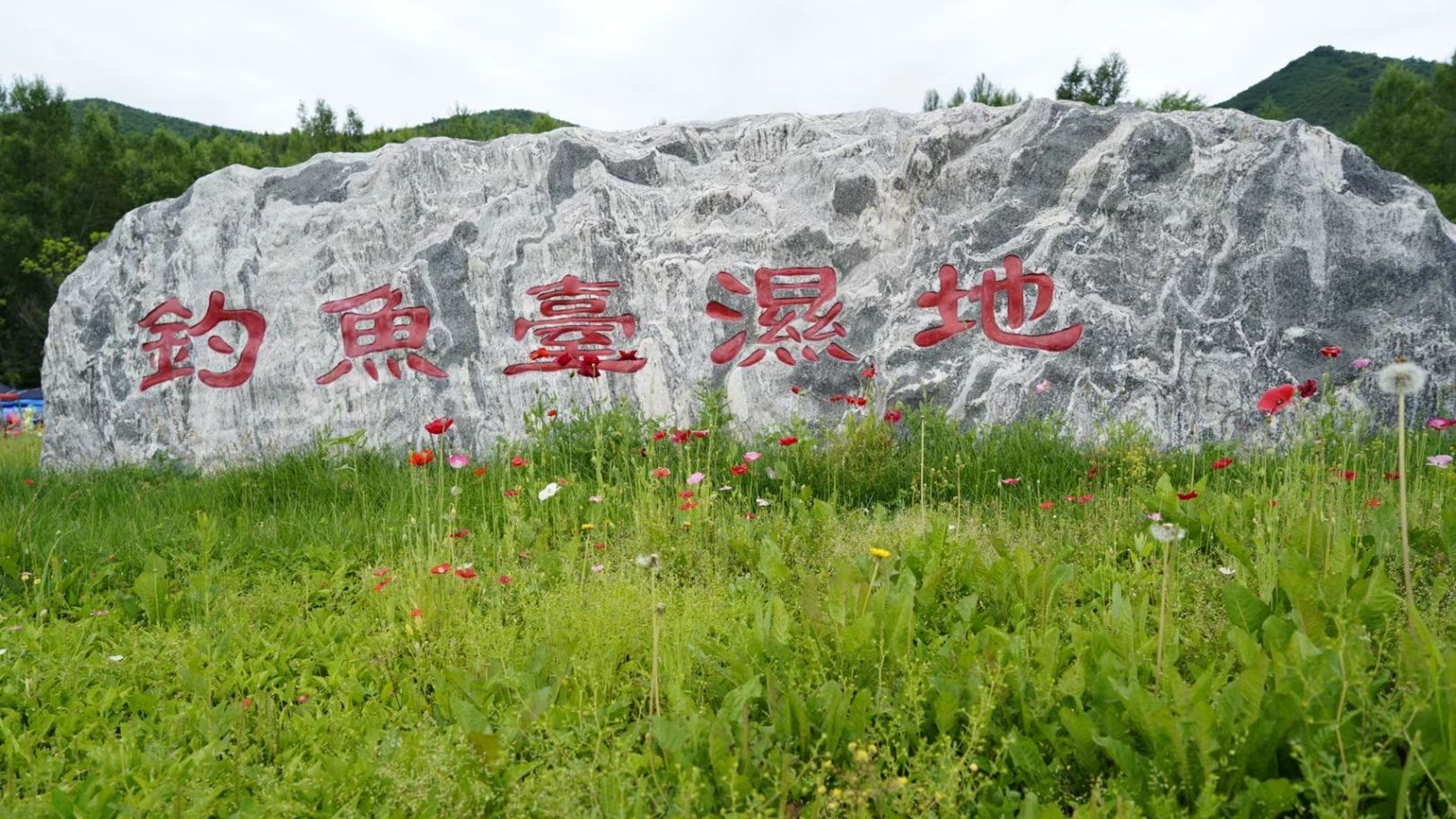 钓鱼台湿地公园旅行图片 1