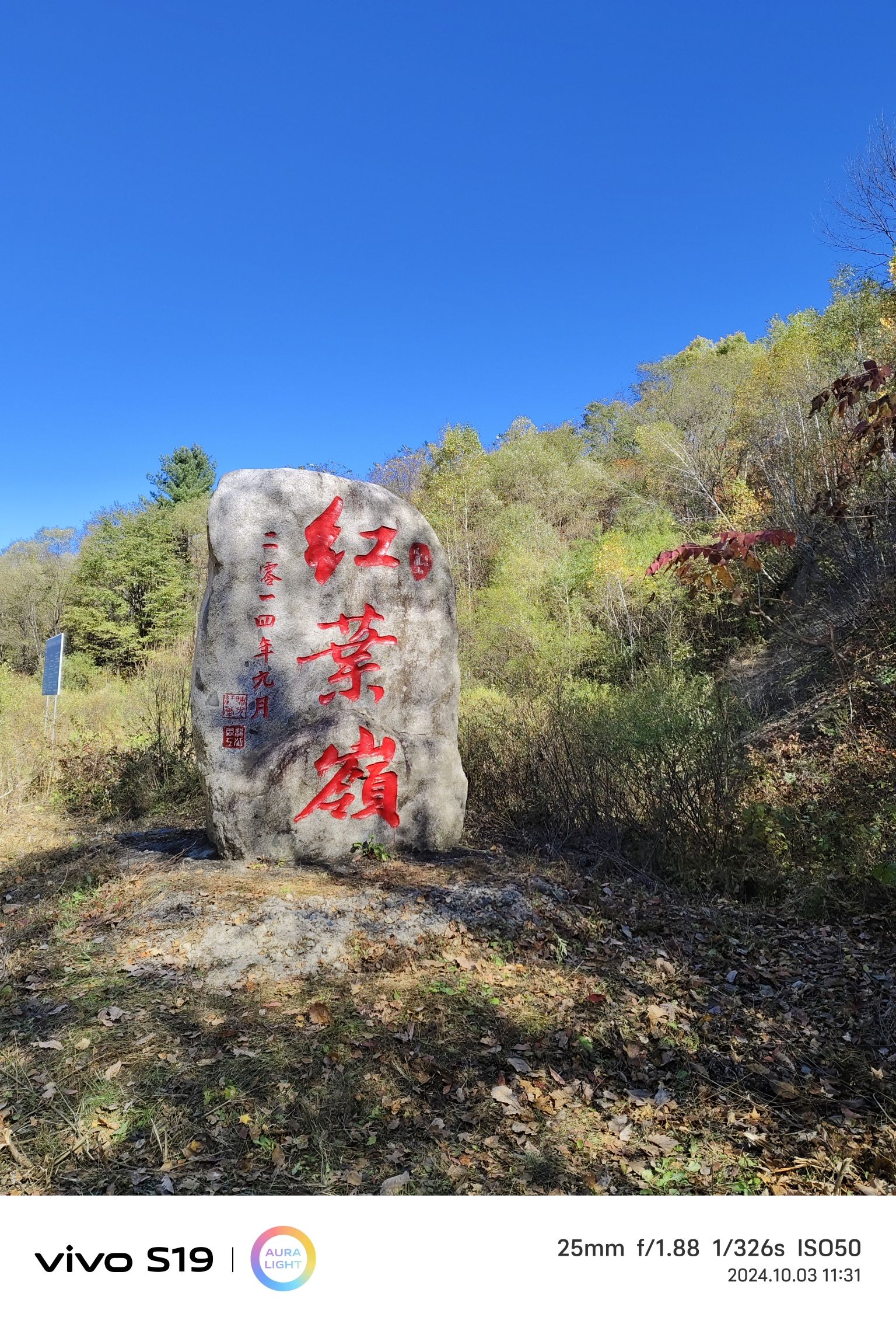 红叶谷旅行图片 1