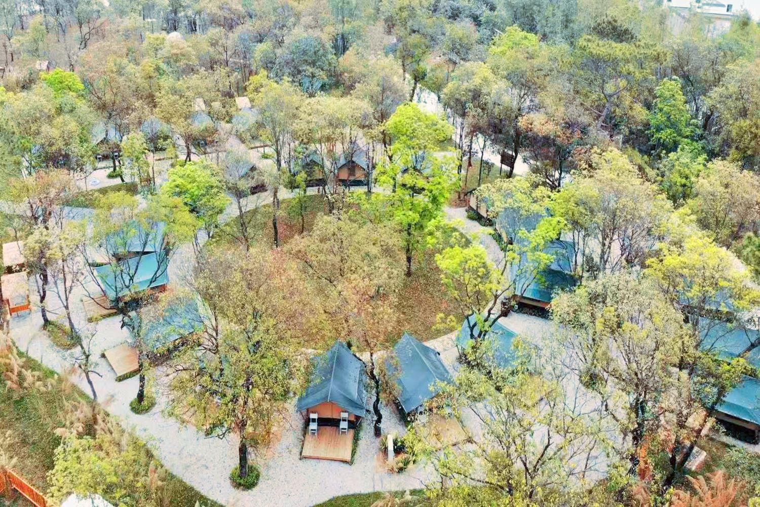 广州天下先生态园营地(海鸥岛店)