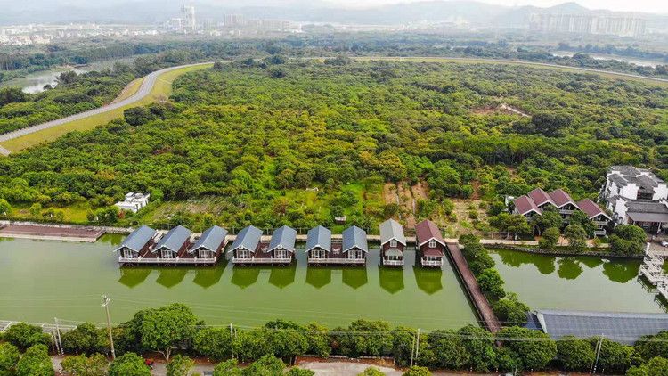 广州天下先生态园营地(海鸥岛店)