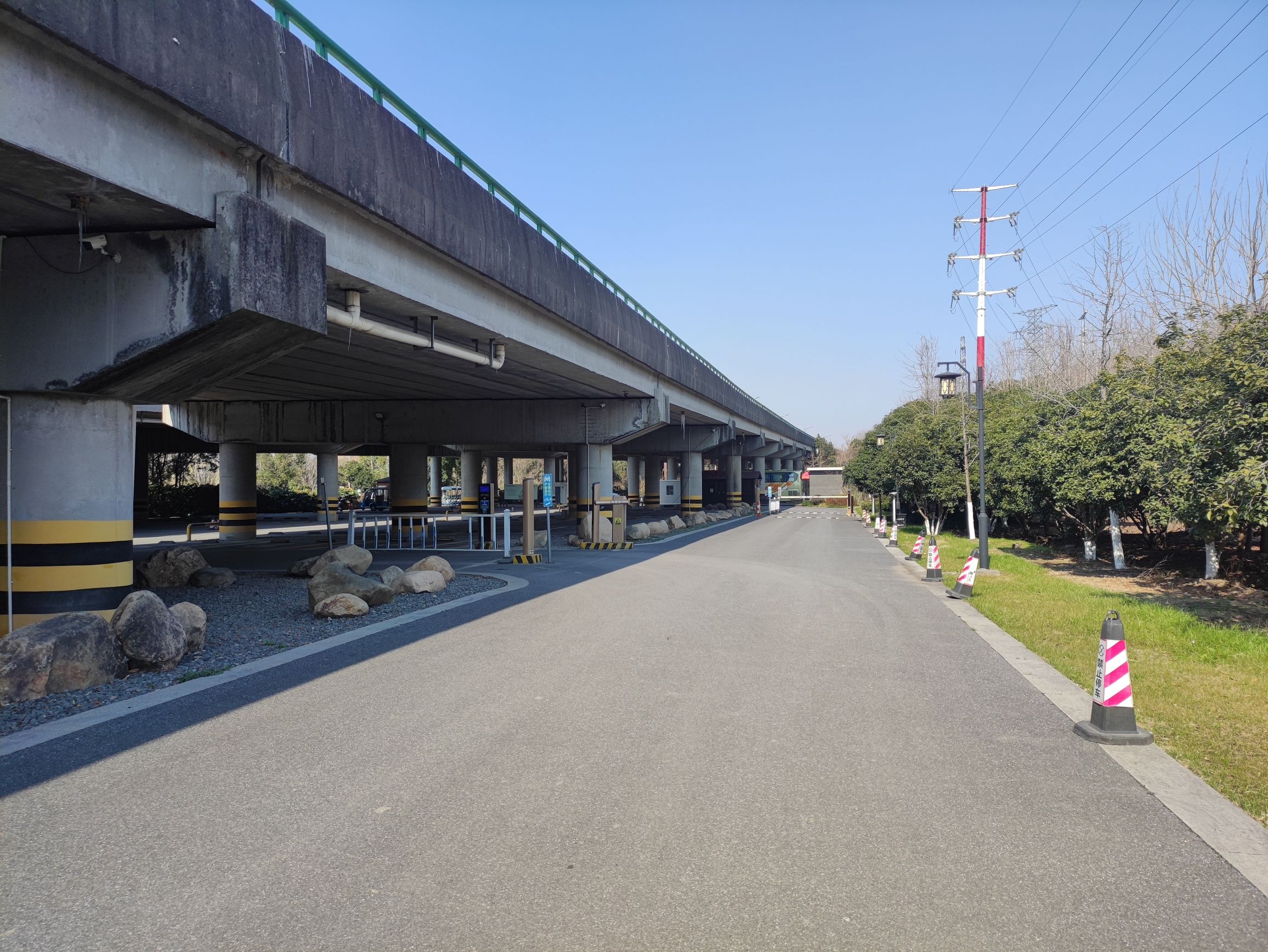 湘家荡森林公园旅行图片 1