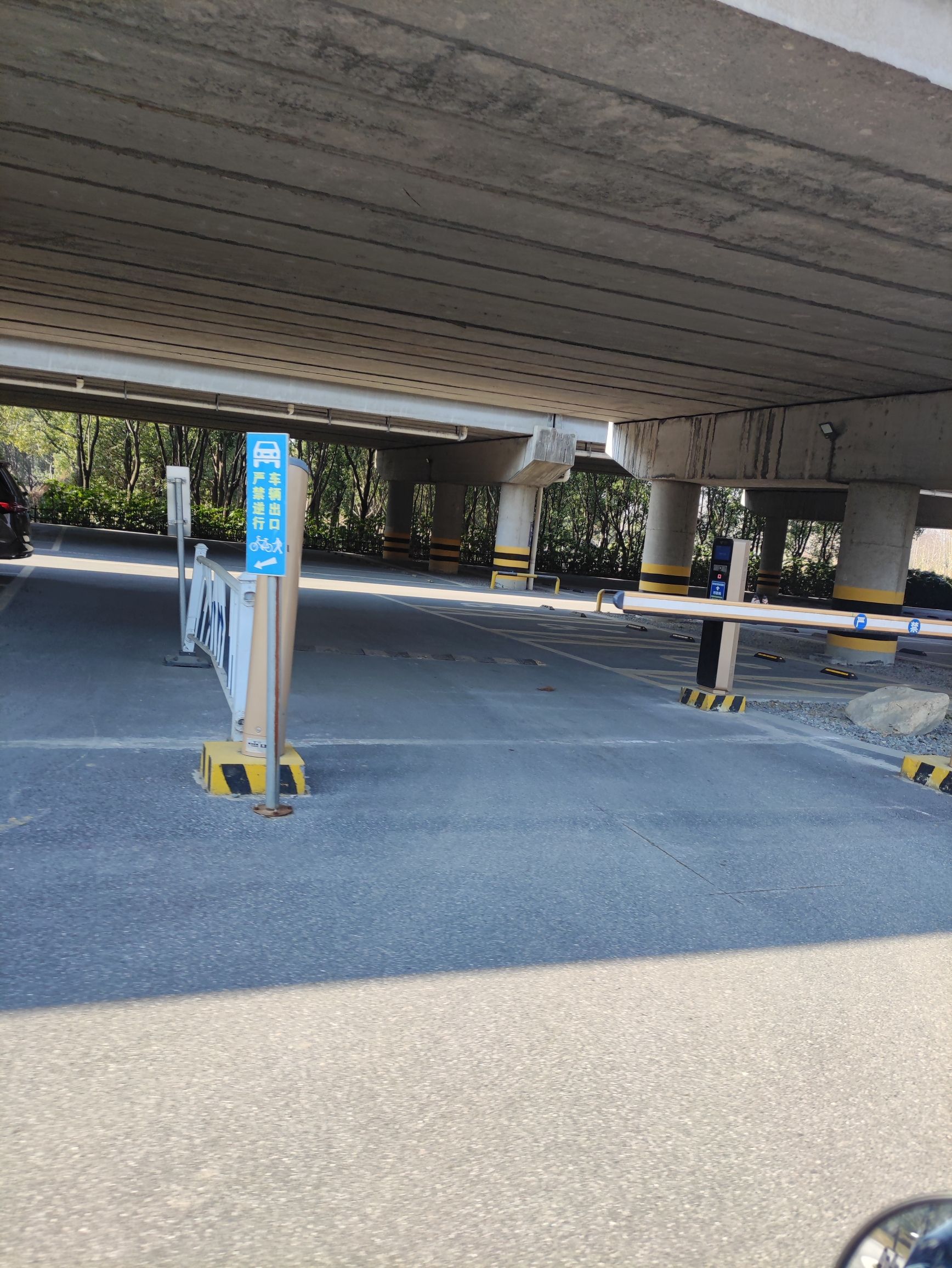 湘家荡森林公园旅行图片 2