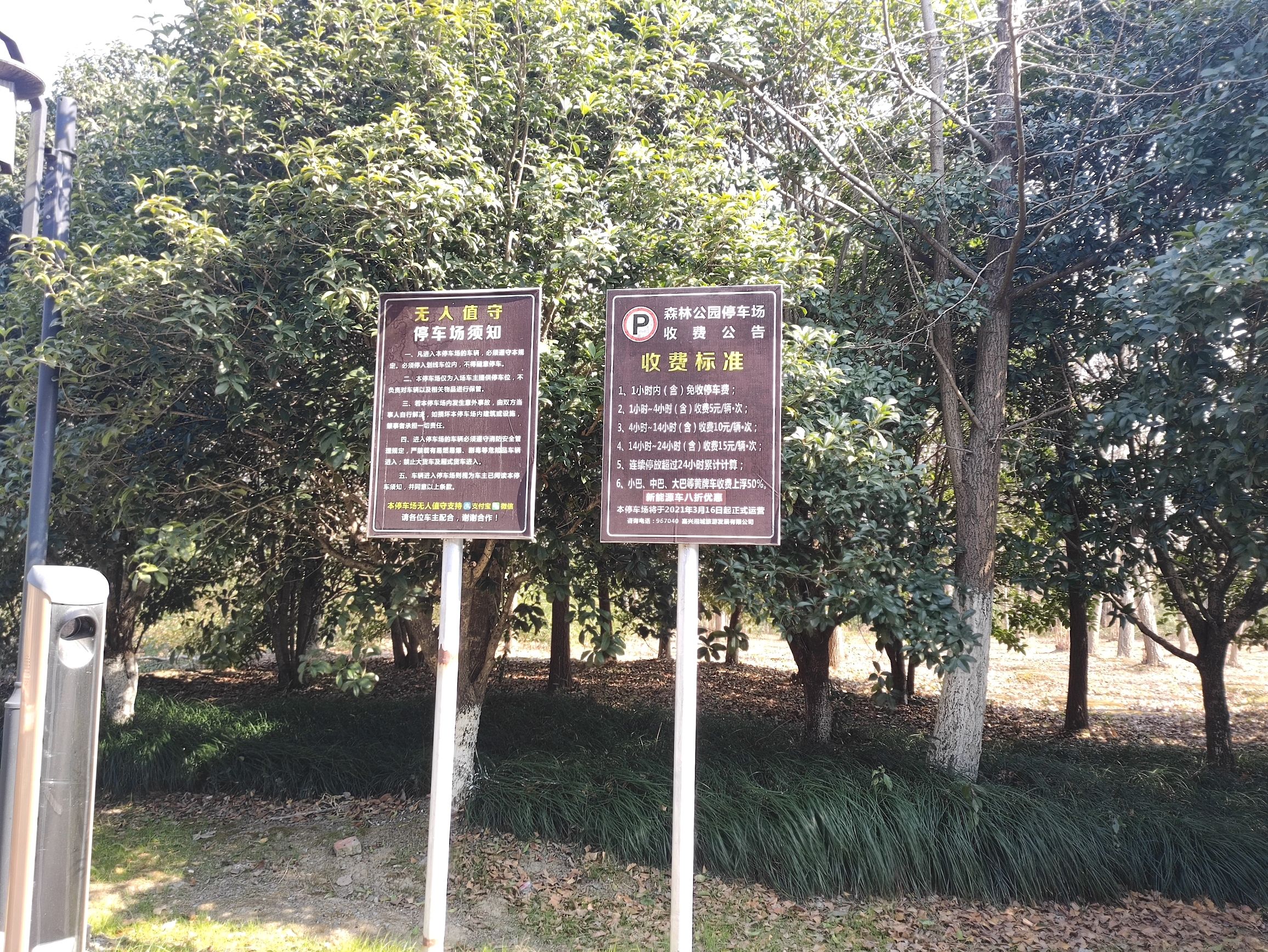 湘家荡森林公园旅行图片 3