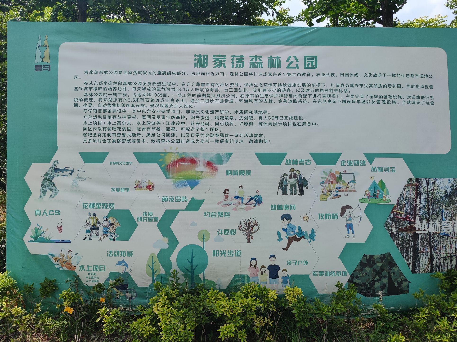 湘家荡森林公园