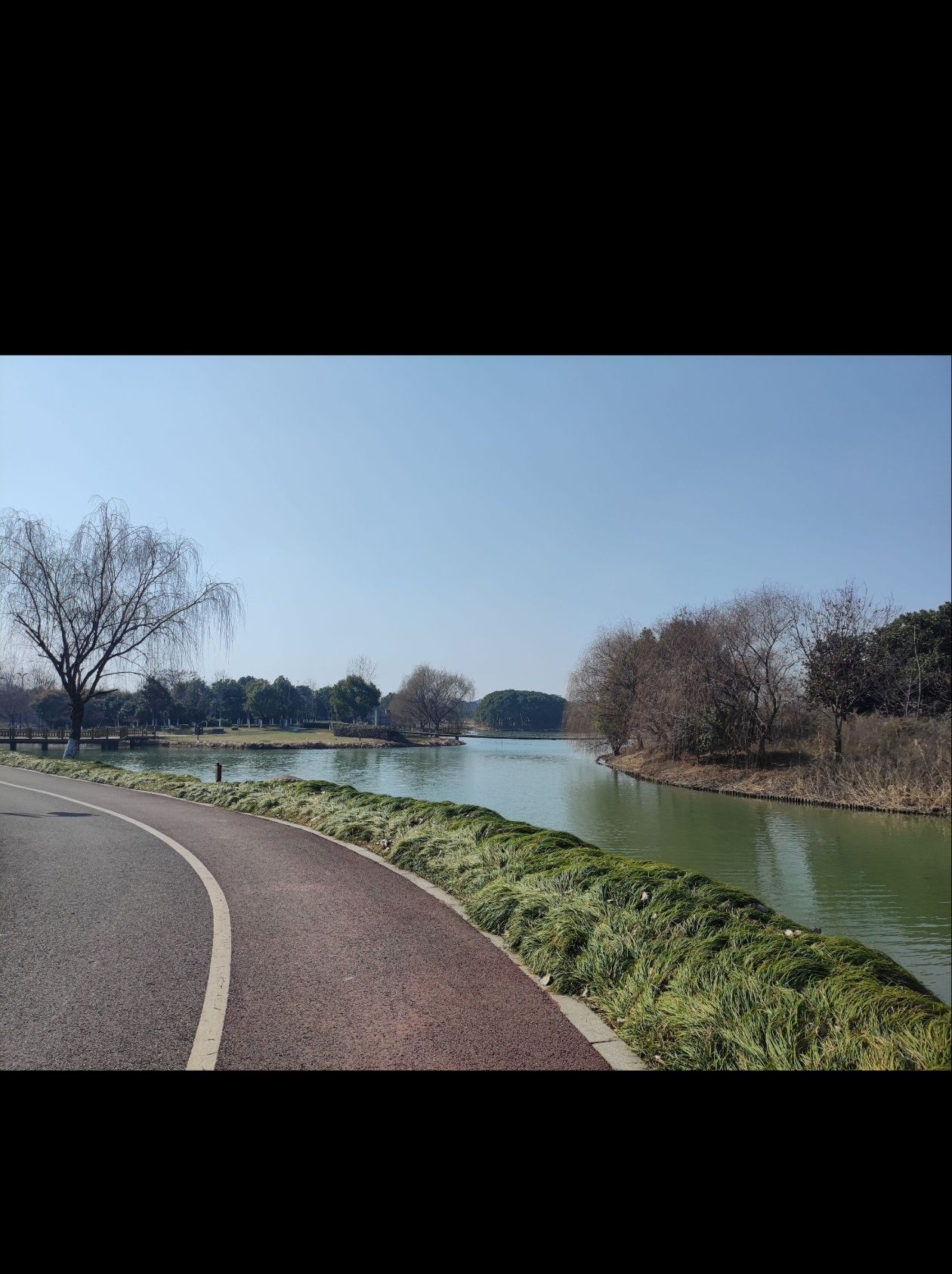 湘家荡森林公园旅行图片 2