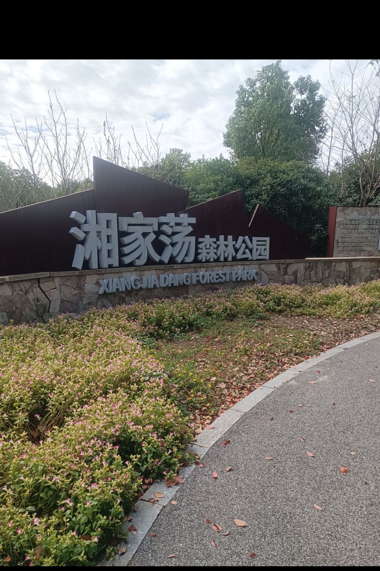 湘家荡森林公园旅行图片 3