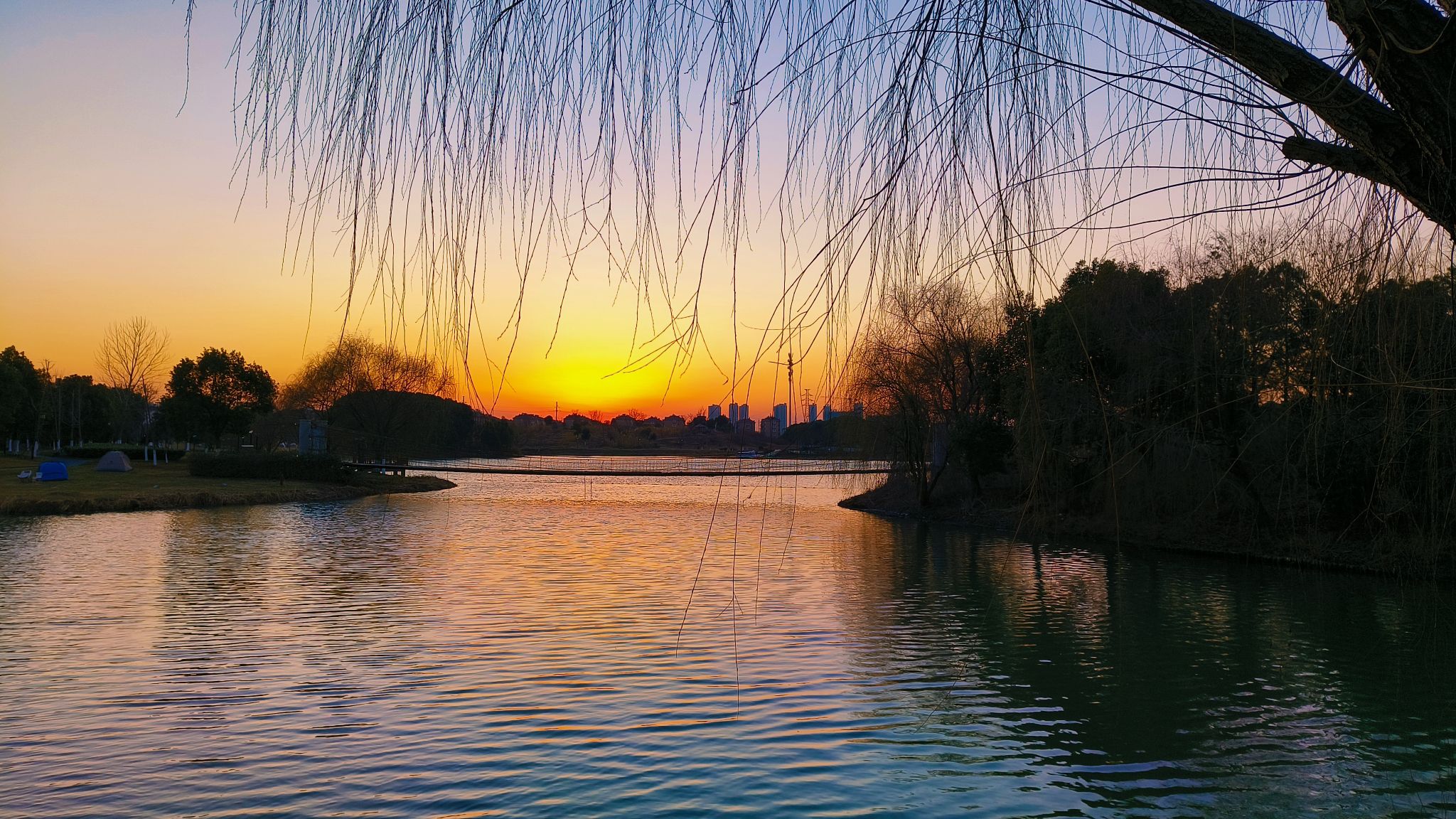 湘家荡森林公园旅行图片 3