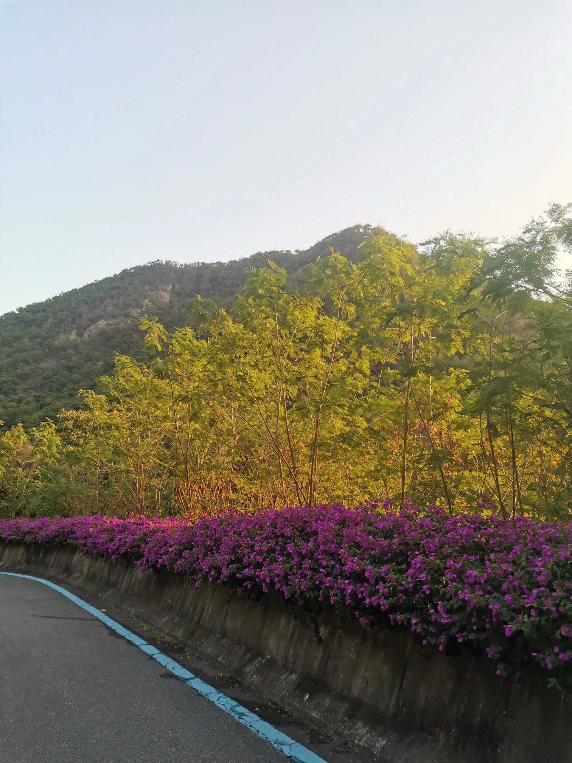玉融山公园旅行图片 3