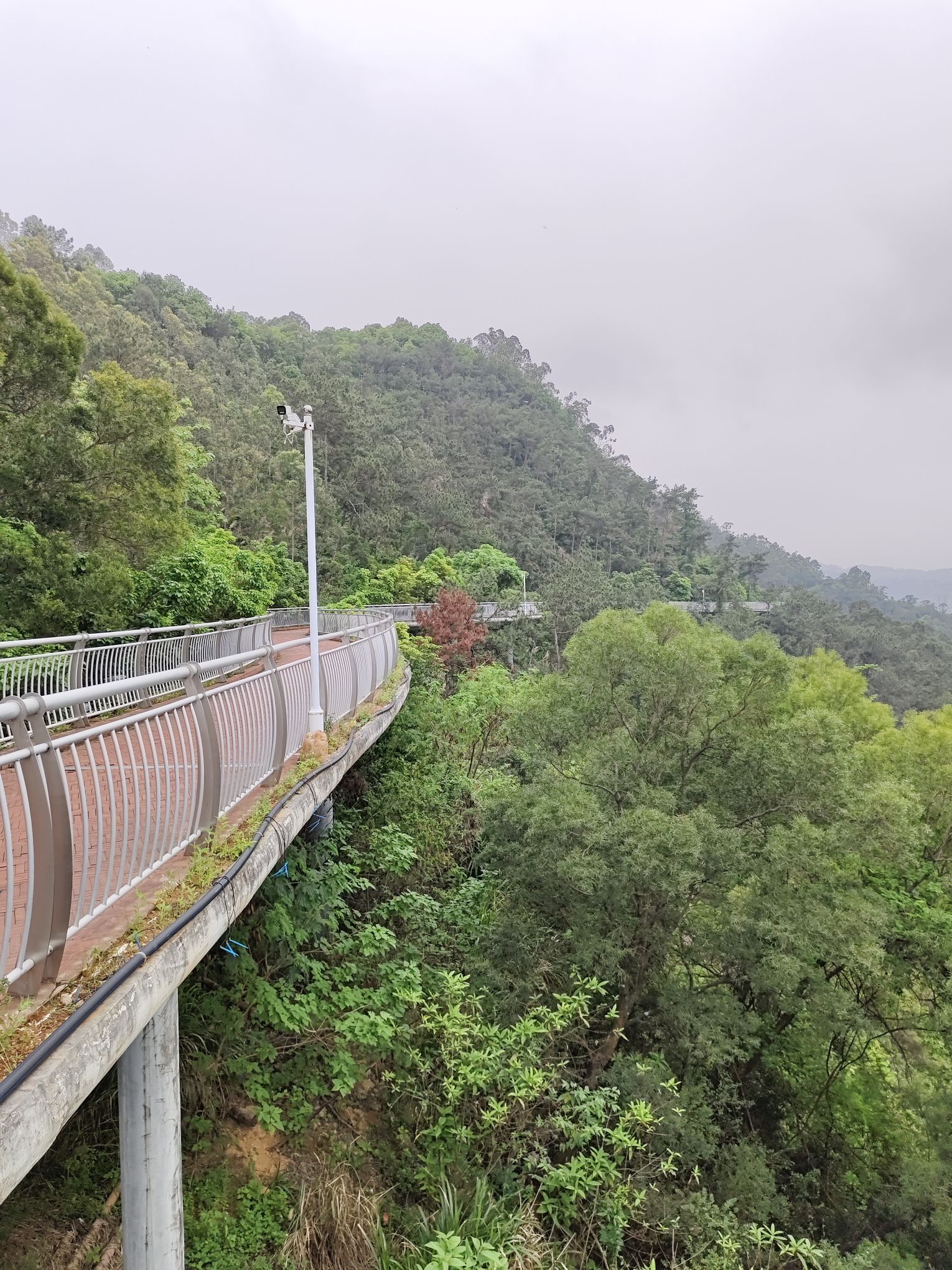 玉融山公园旅行图片 2