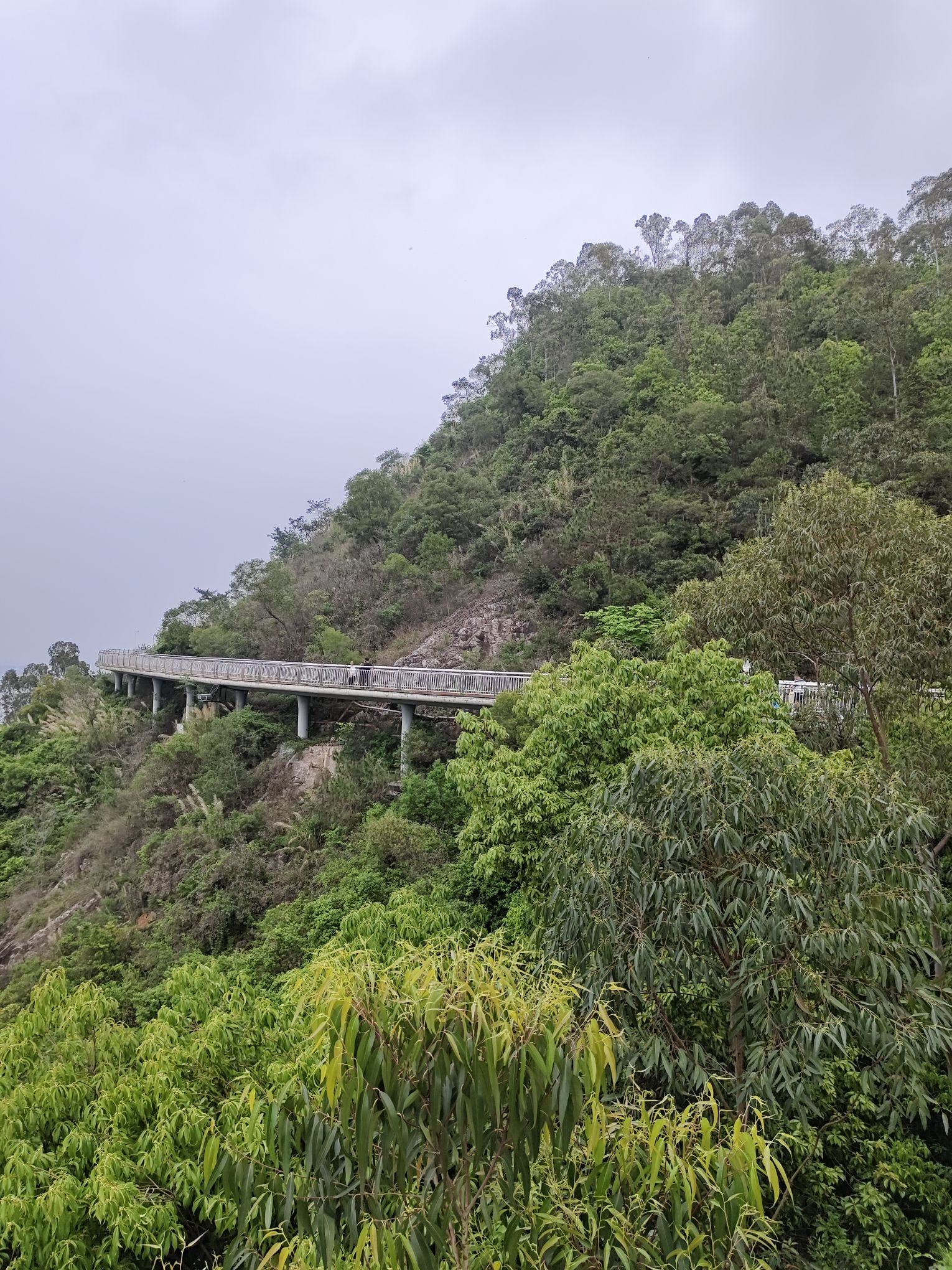 玉融山公园旅行图片 3