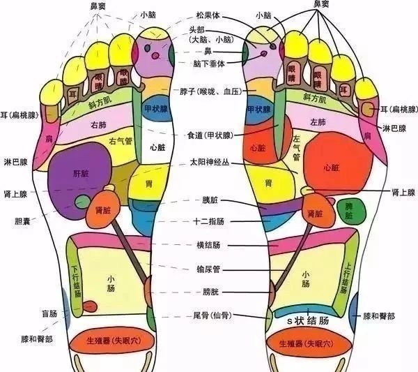 文博体育公园旅行图片 3