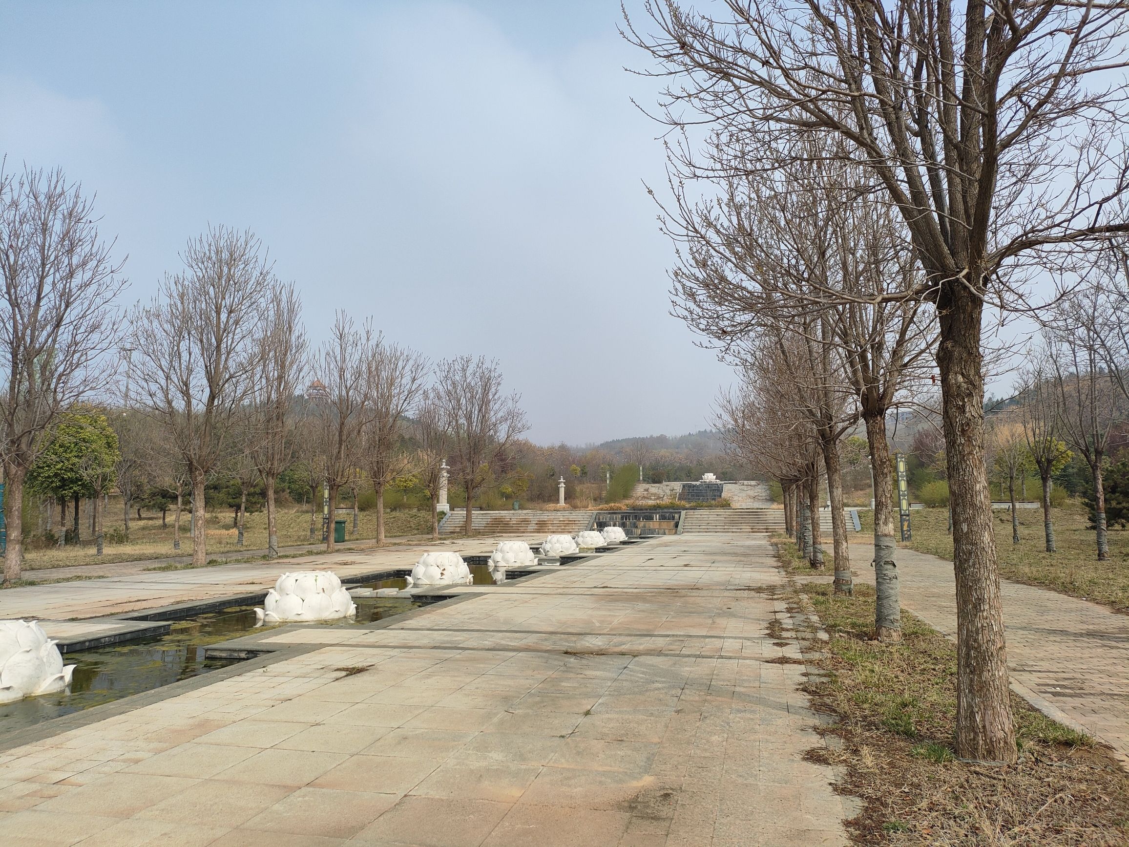 万佛山森林公园旅行图片 1