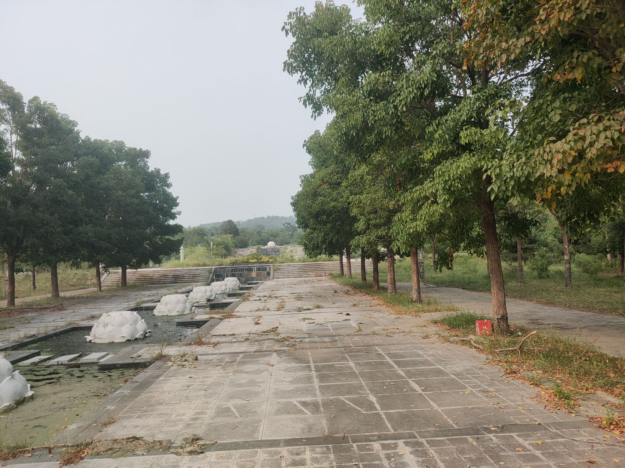 万佛山森林公园旅行图片 1