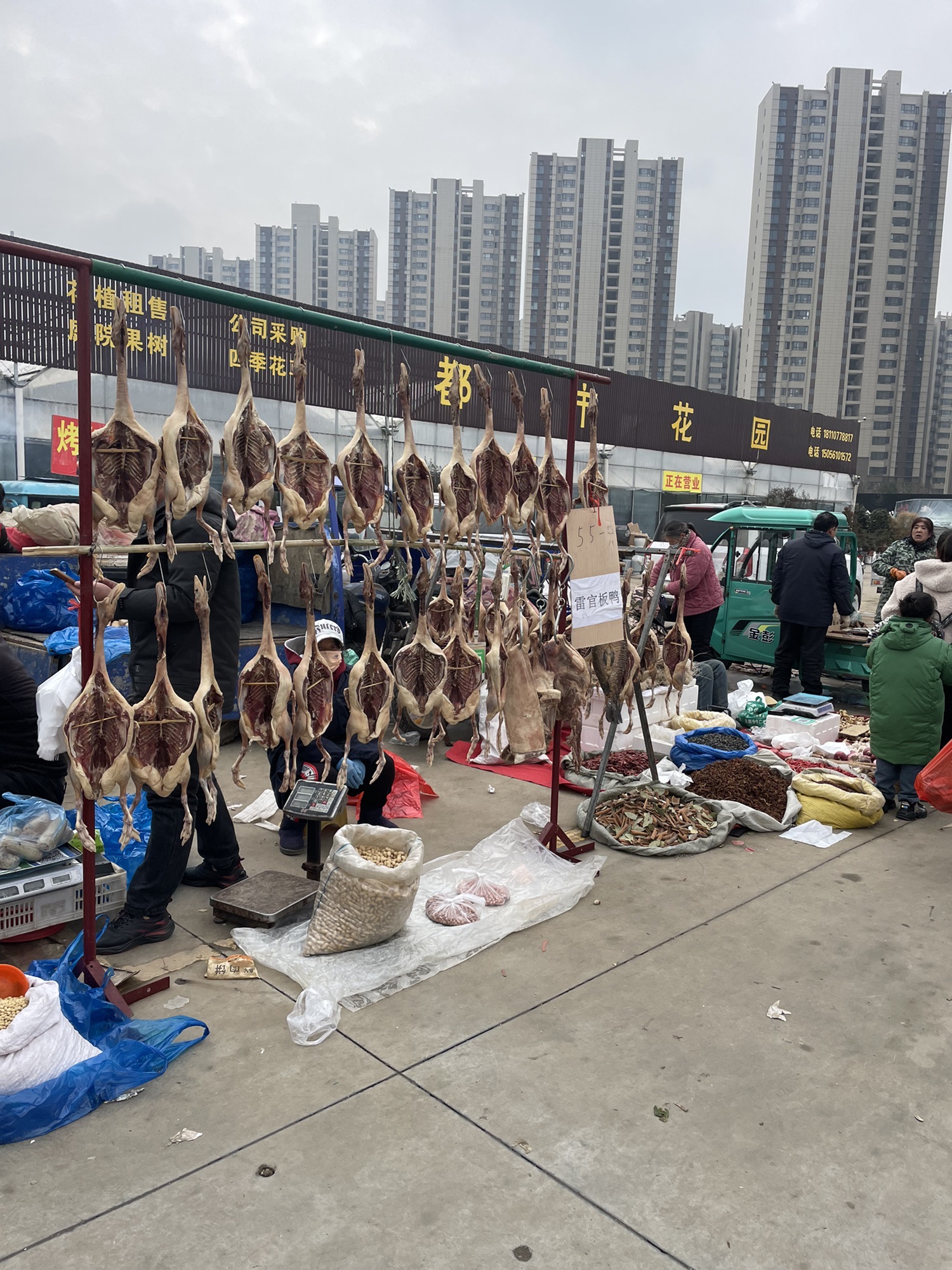滁州市花鸟鱼虫市场