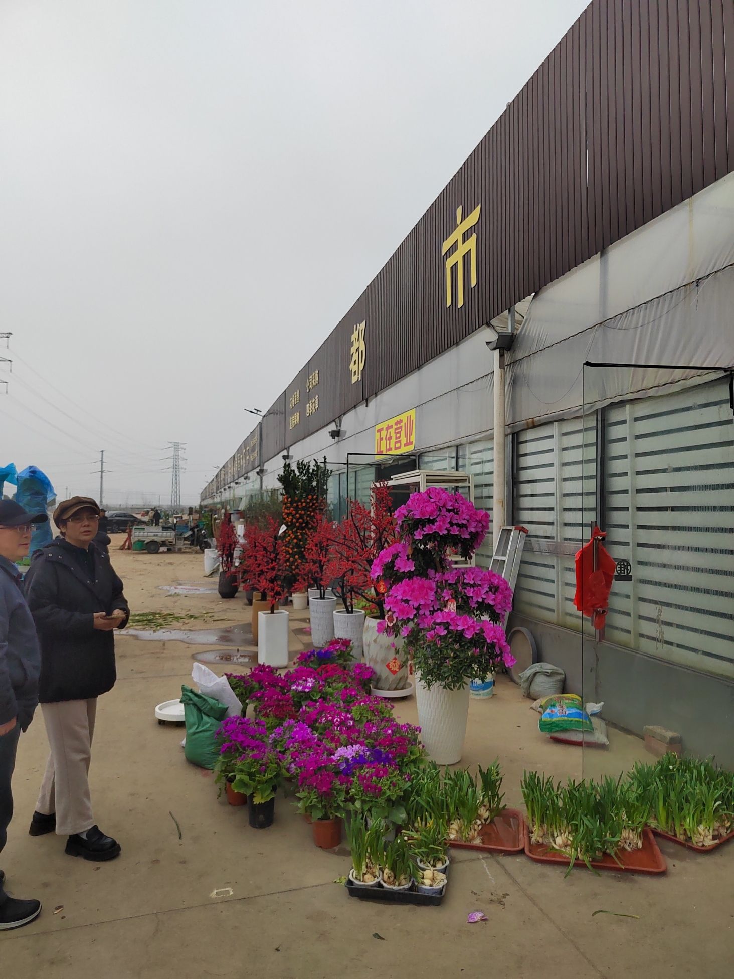 滁州市花鸟鱼虫市场