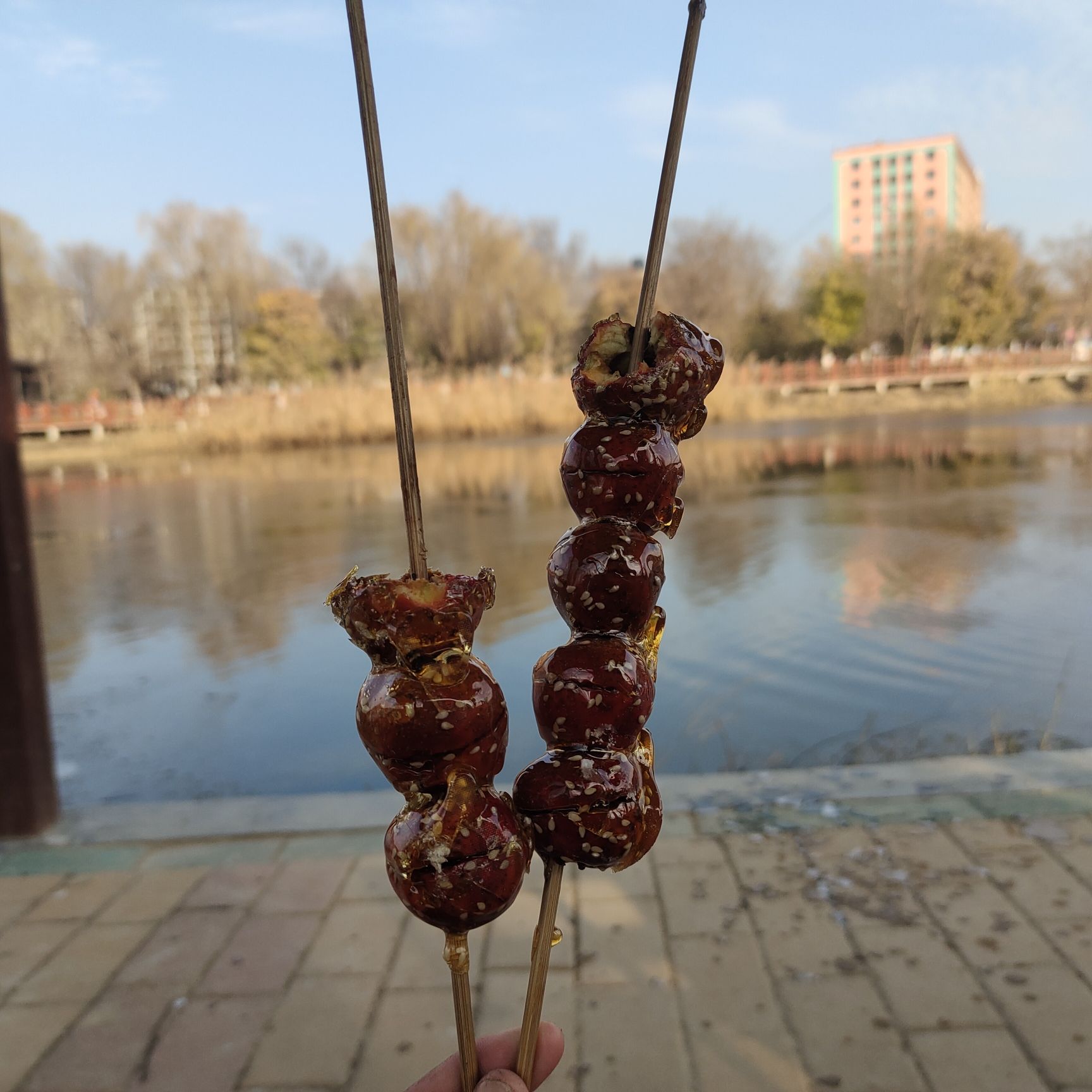 两河口省级森林公园旅行图片 3